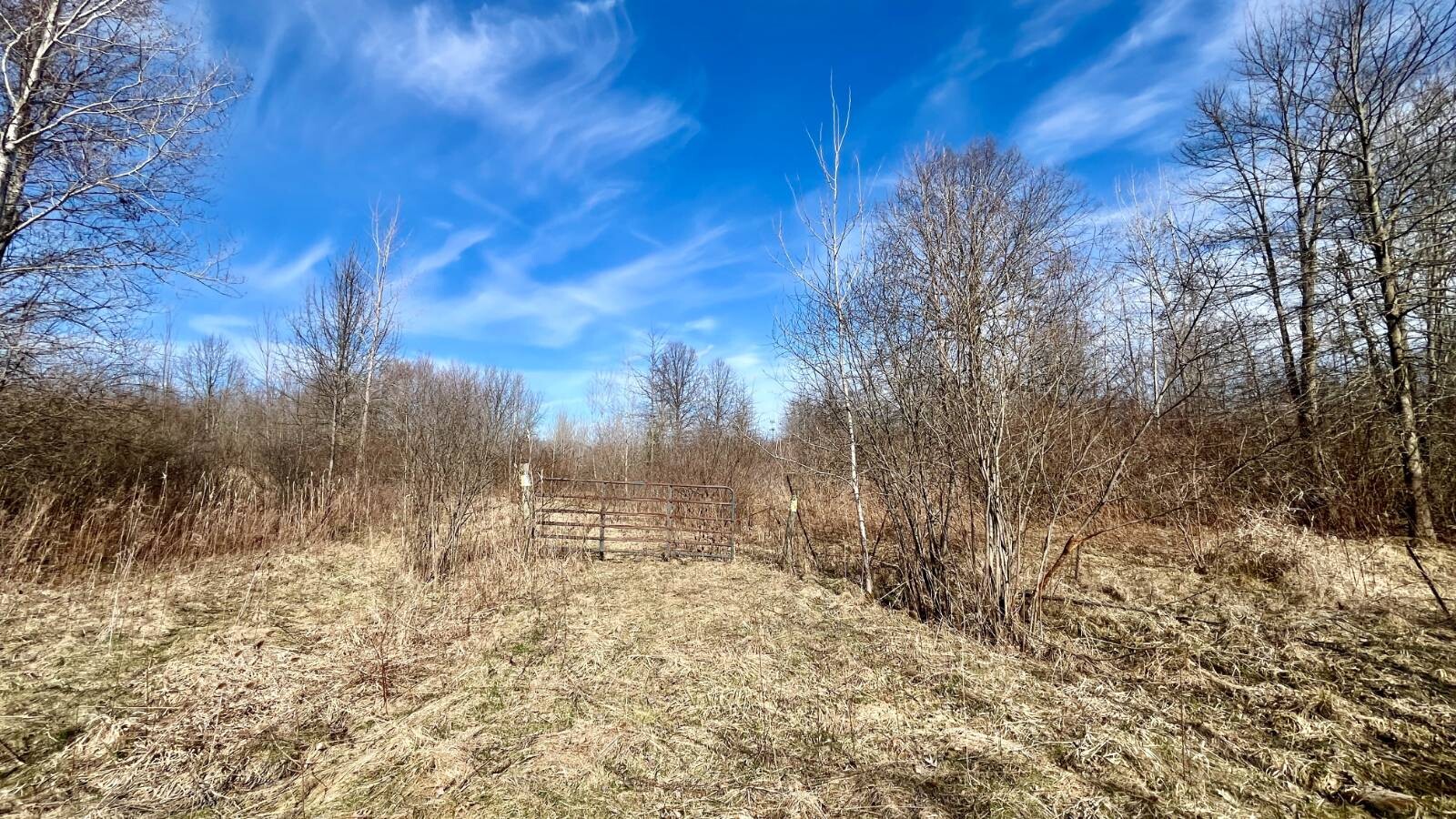 Land for Sale in Trumbull County, OH (28 of 79)