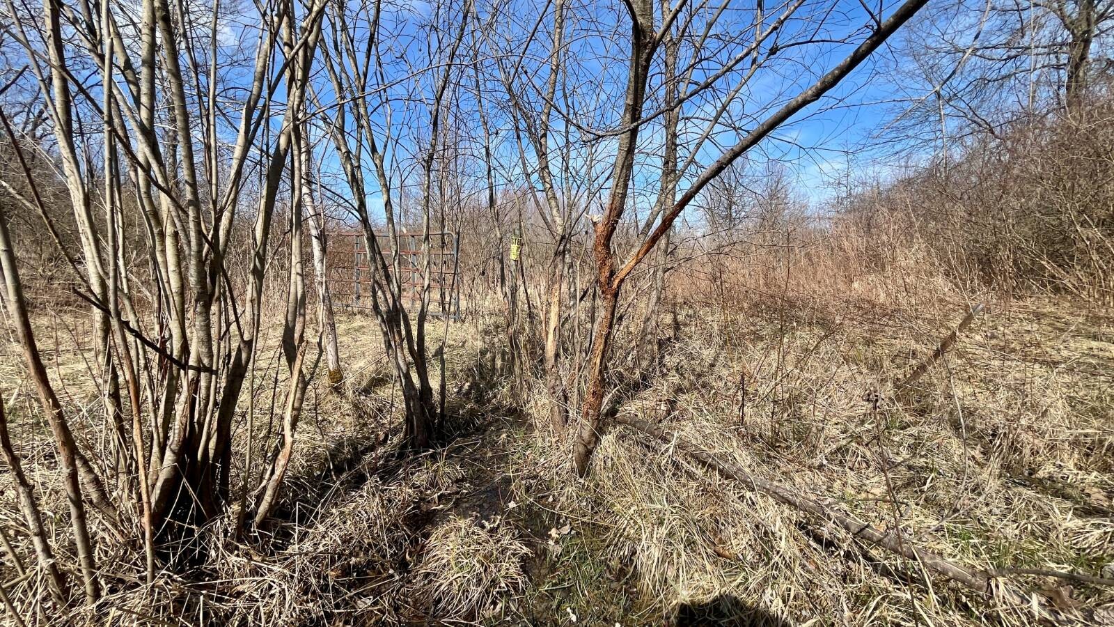 Land for Sale in Trumbull County, OH (29 of 79)