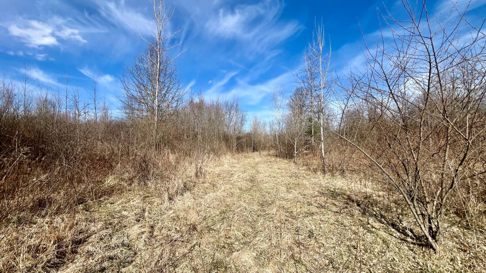 Land for Sale in Trumbull County, OH (30 of 79)