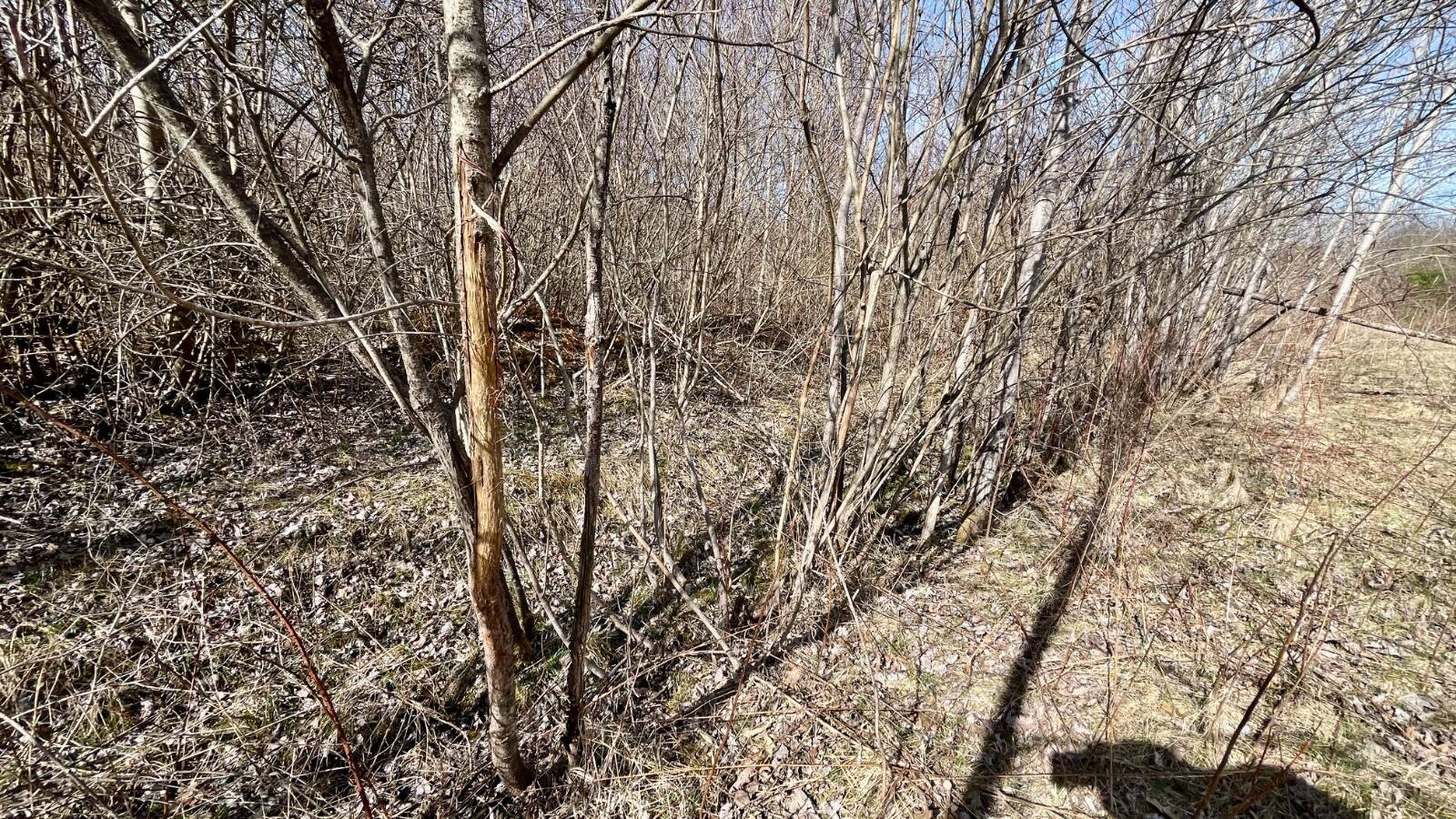 Land for Sale in Trumbull County, OH (31 of 79)