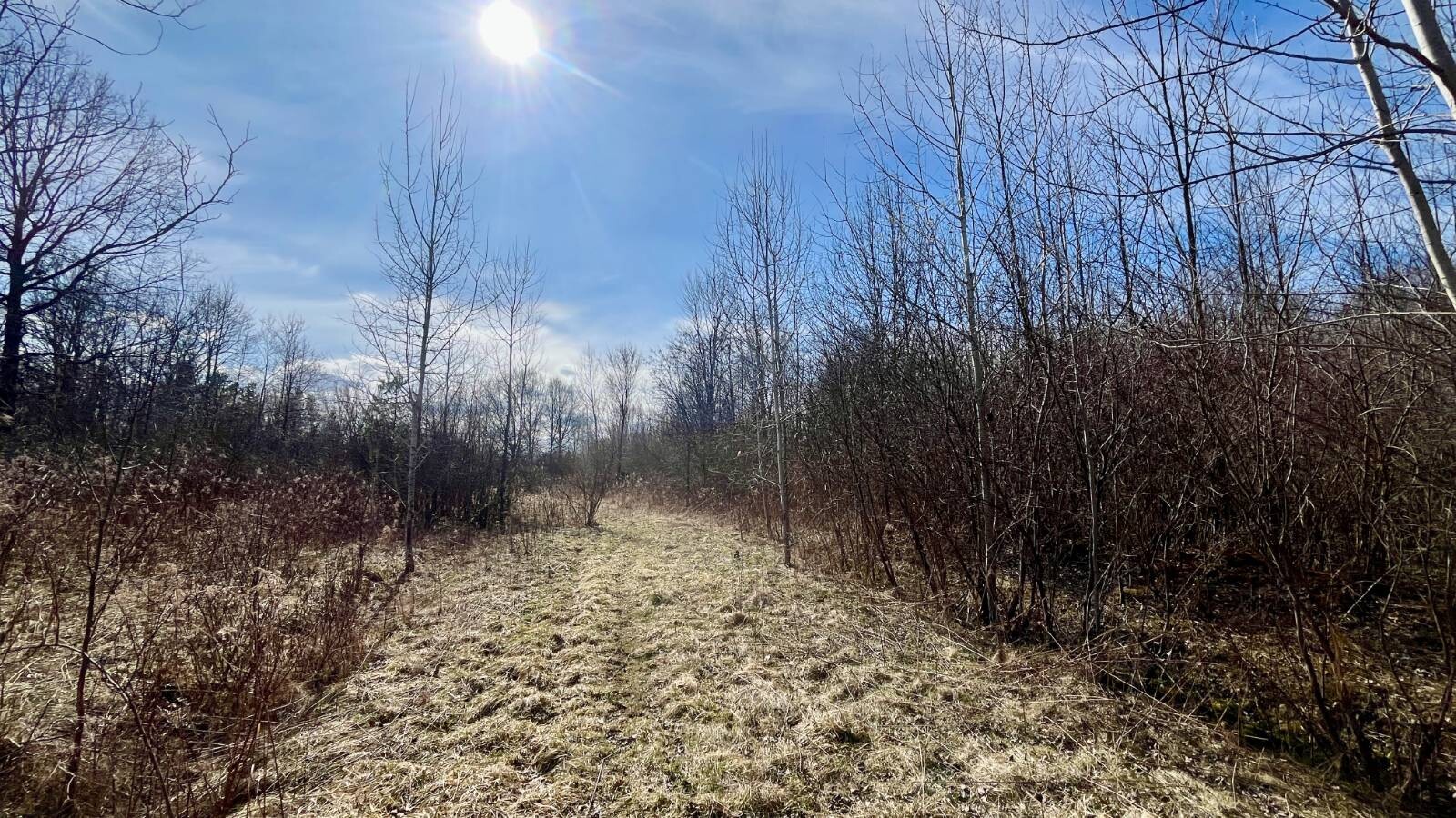 Land for Sale in Trumbull County, OH (32 of 79)
