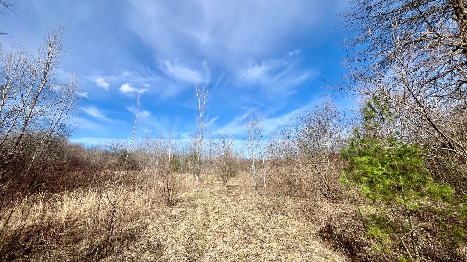 Land for Sale in Trumbull County, OH (33 of 79)