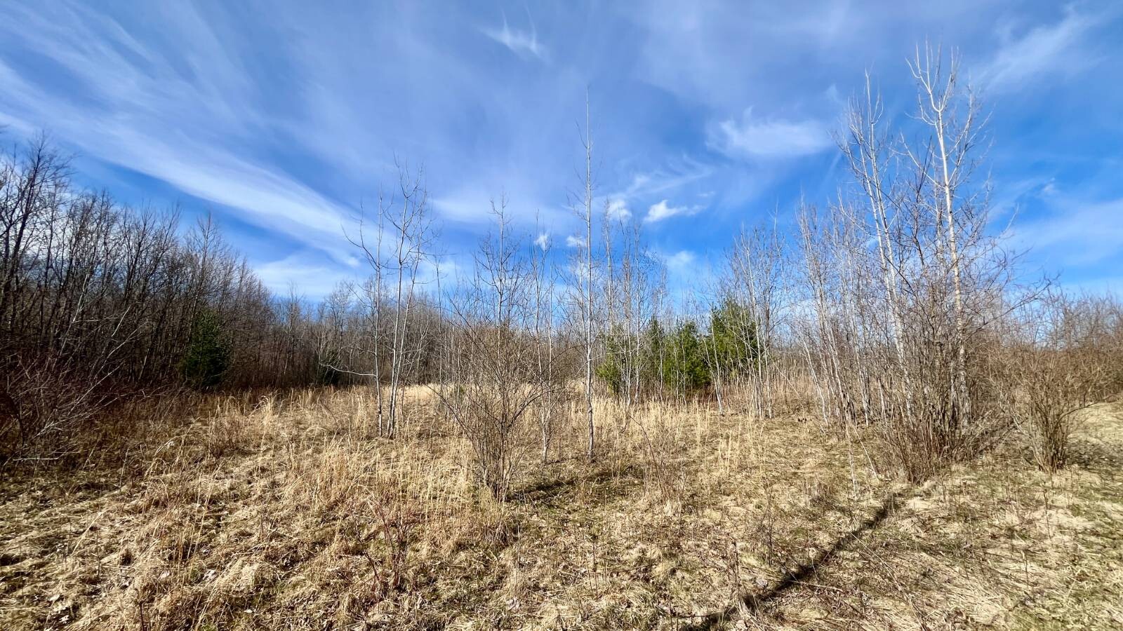 Land for Sale in Trumbull County, OH (34 of 79)