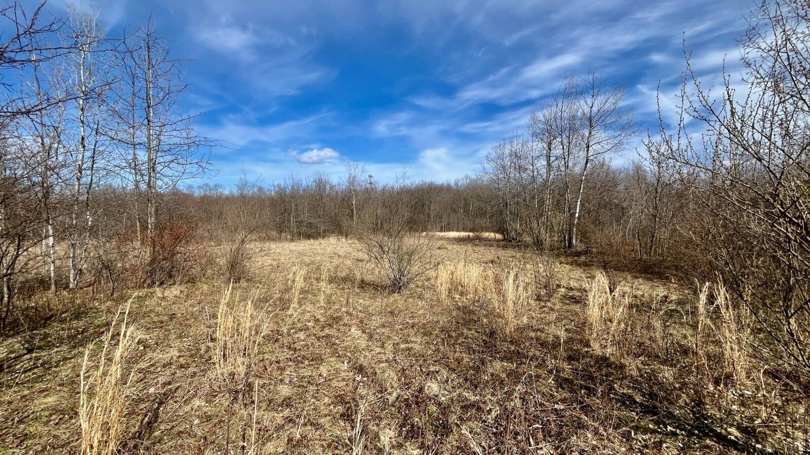 Land for Sale in Trumbull County, OH (35 of 79)