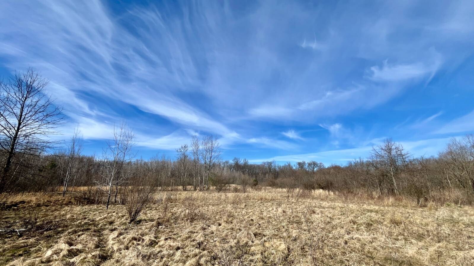 Land for Sale in Trumbull County, OH (36 of 79)