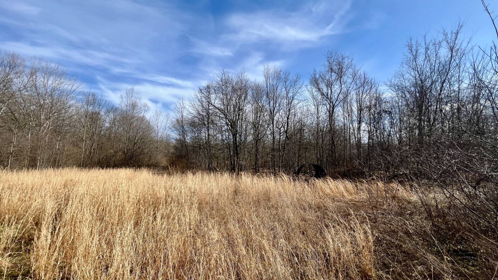 Land for Sale in Trumbull County, OH (37 of 79)