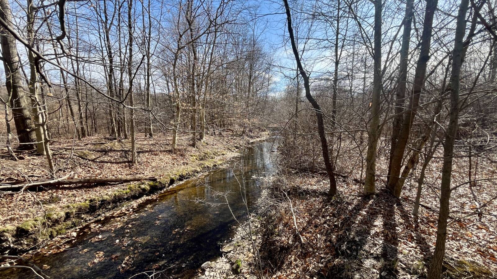 Land for Sale in Trumbull County, OH (38 of 79)
