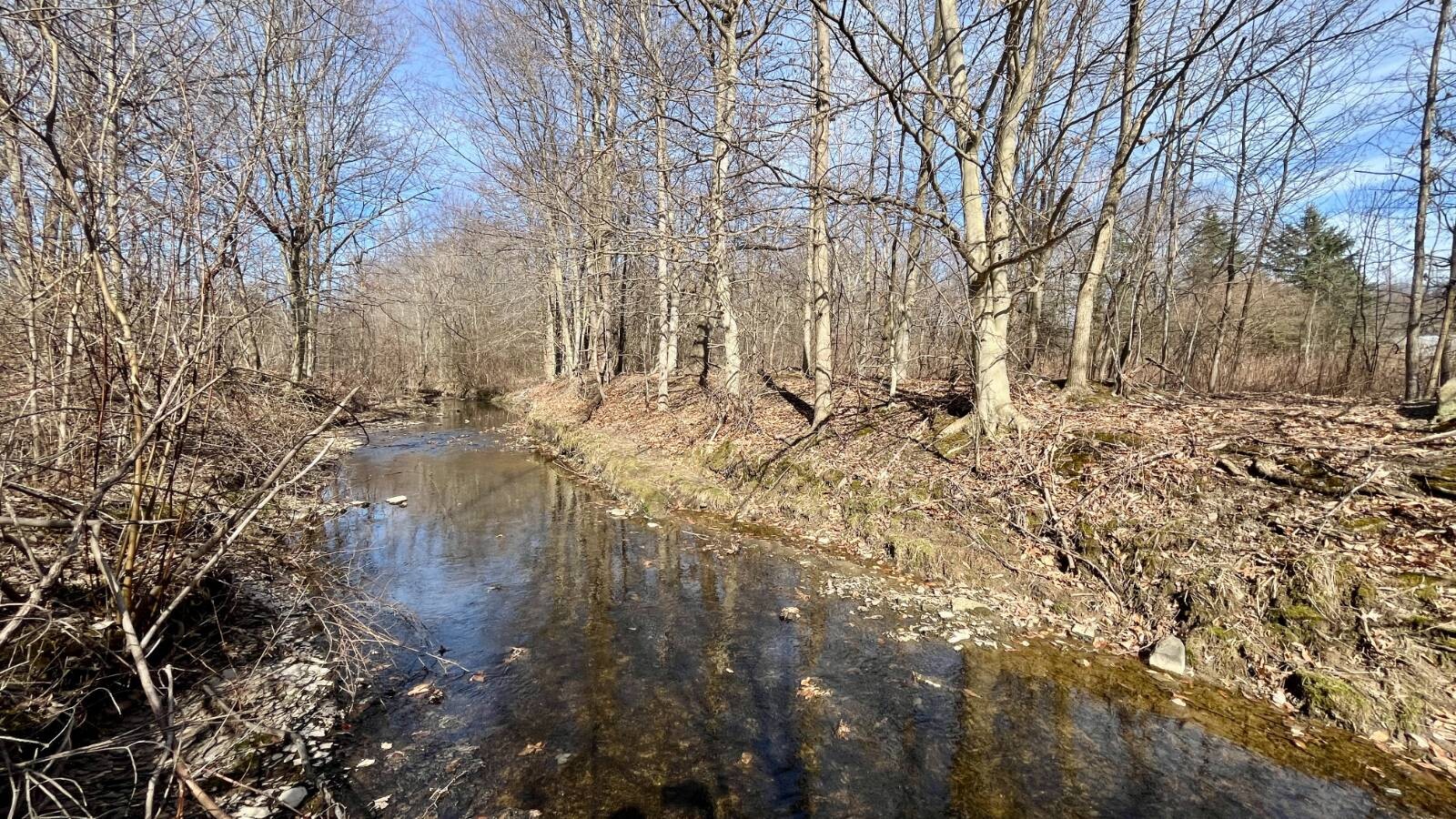 Land for Sale in Trumbull County, OH (39 of 79)