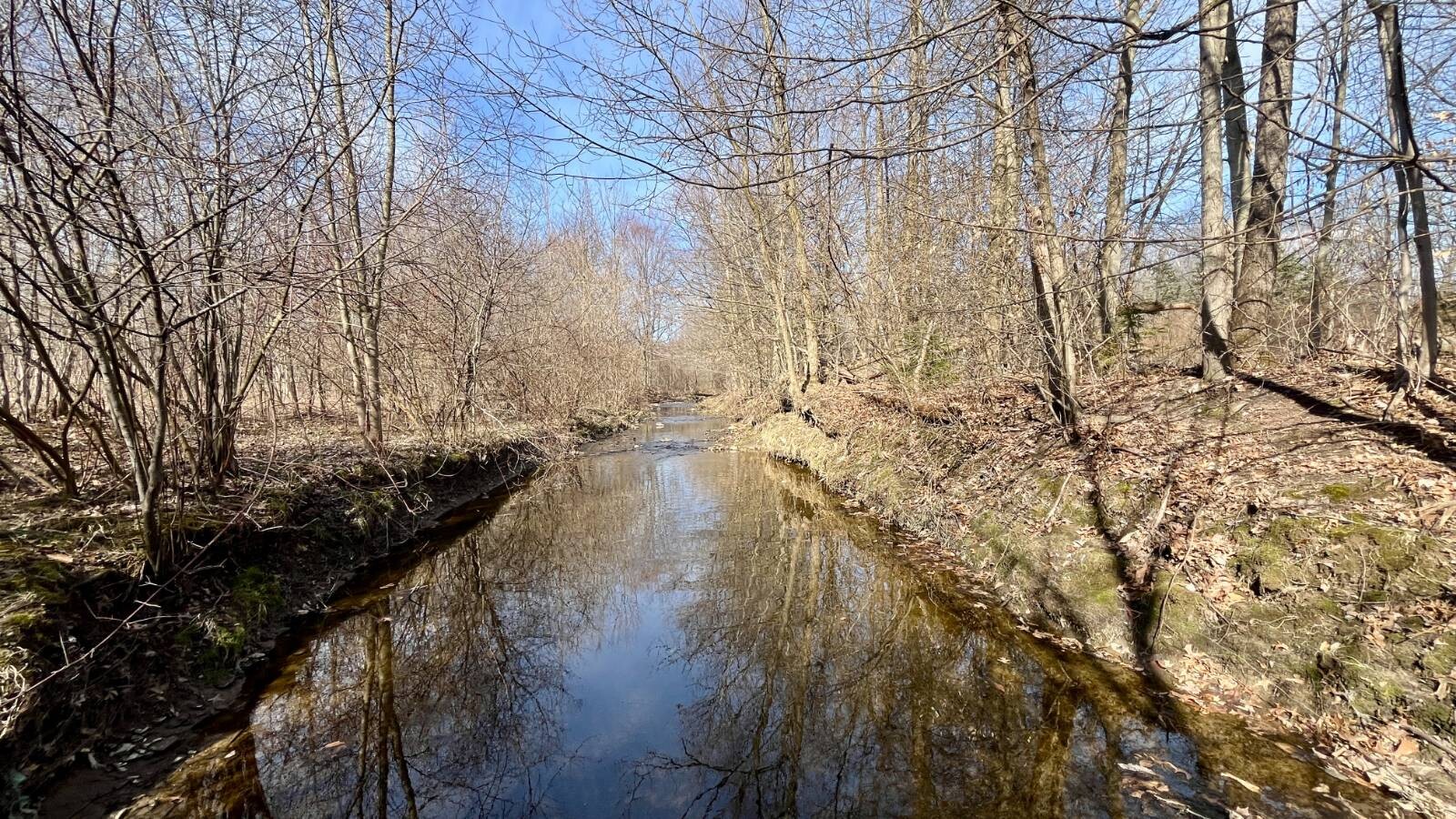 Land for Sale in Trumbull County, OH (40 of 79)