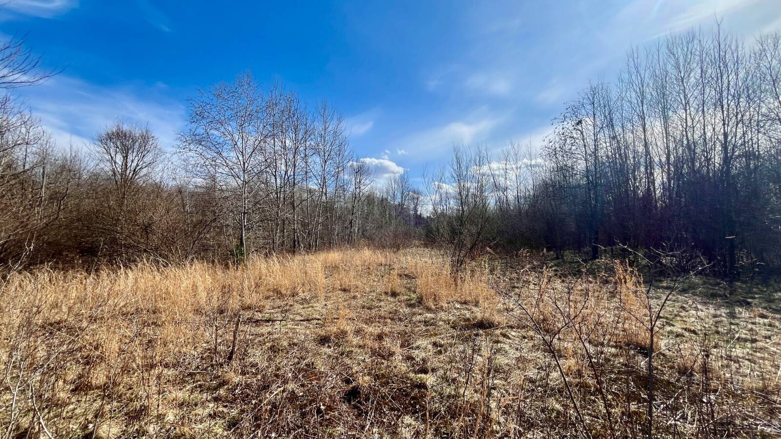 Land for Sale in Trumbull County, OH (41 of 79)