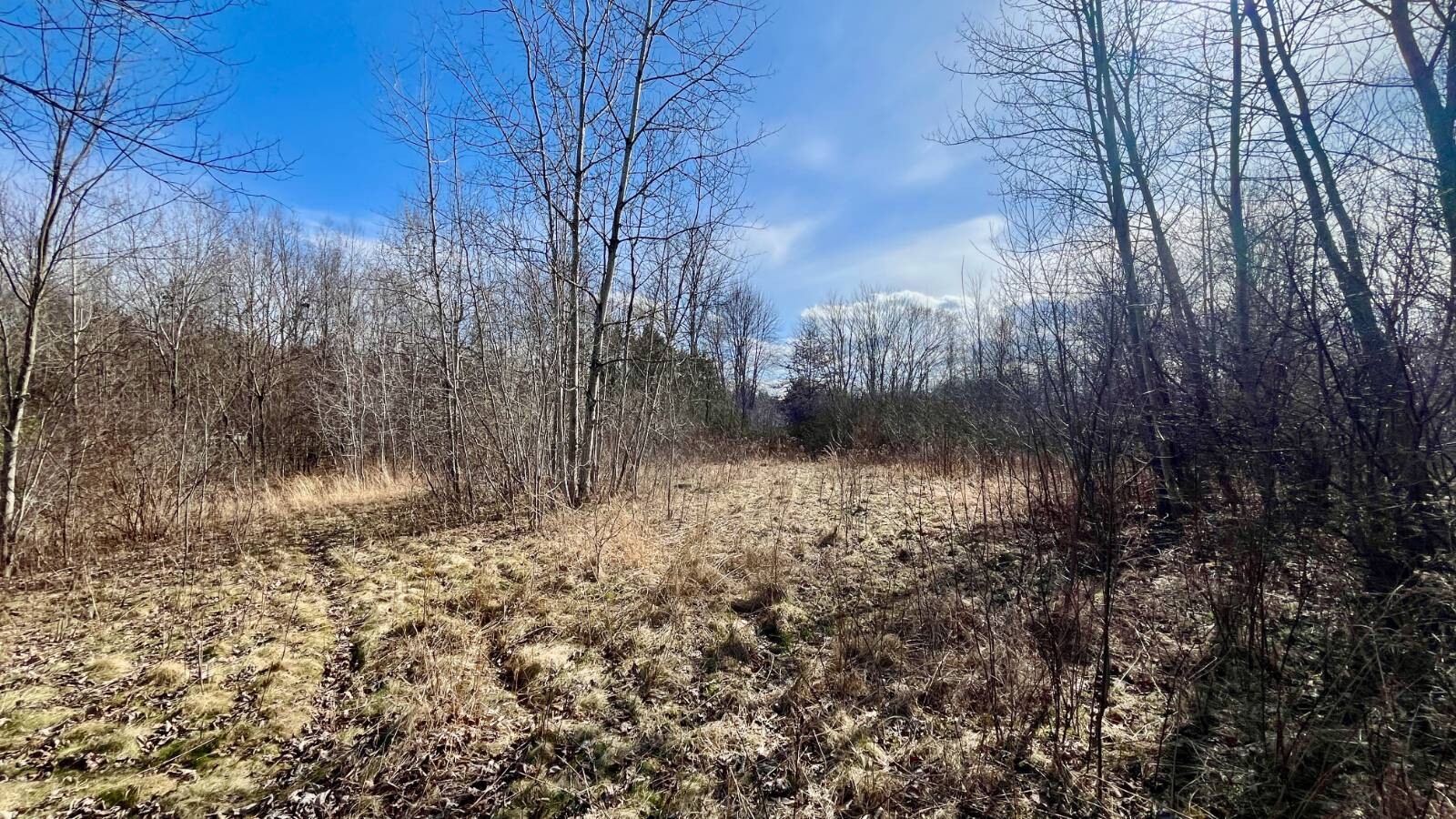 Land for Sale in Trumbull County, OH (42 of 79)
