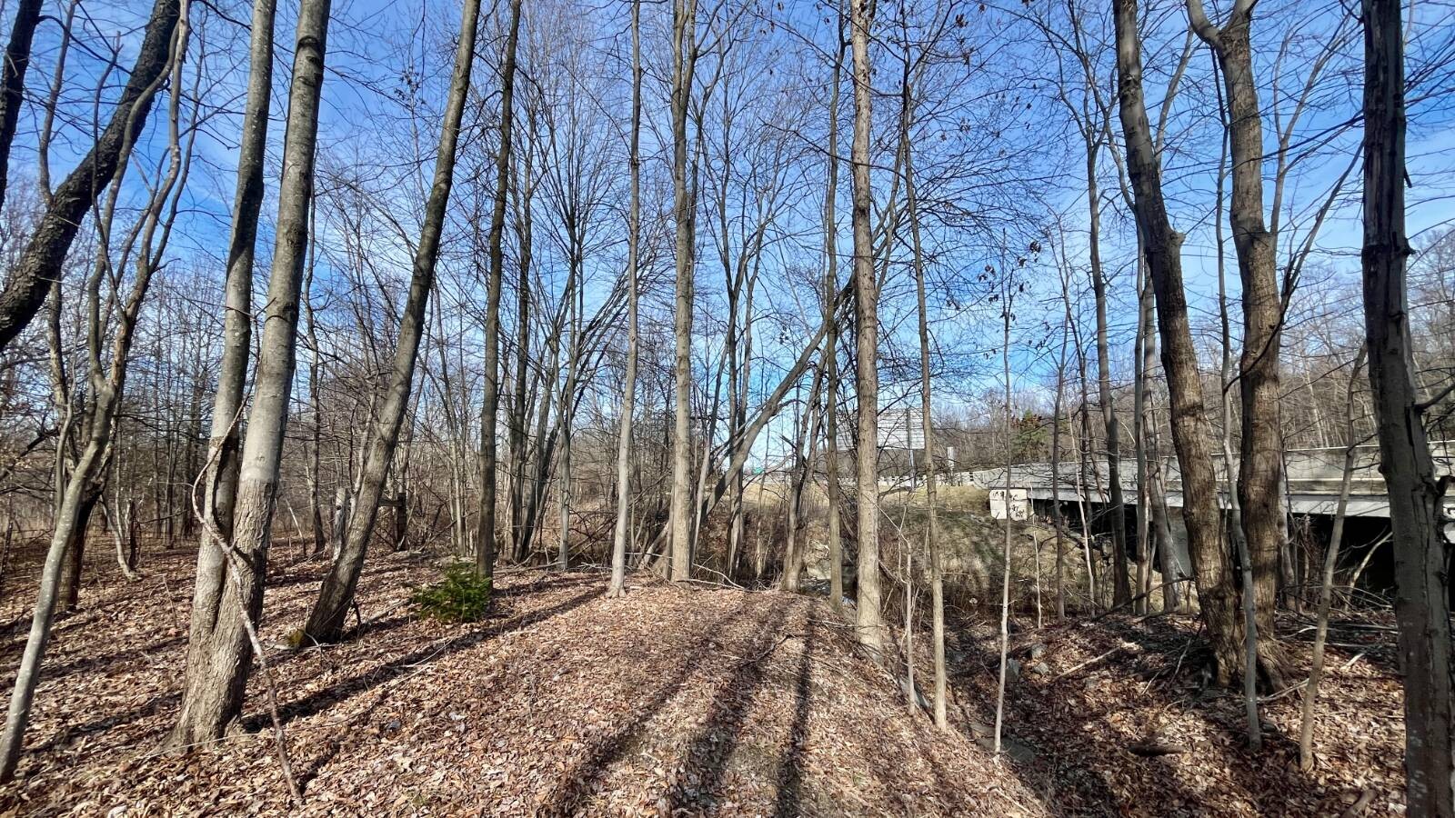 Land for Sale in Trumbull County, OH (43 of 79)