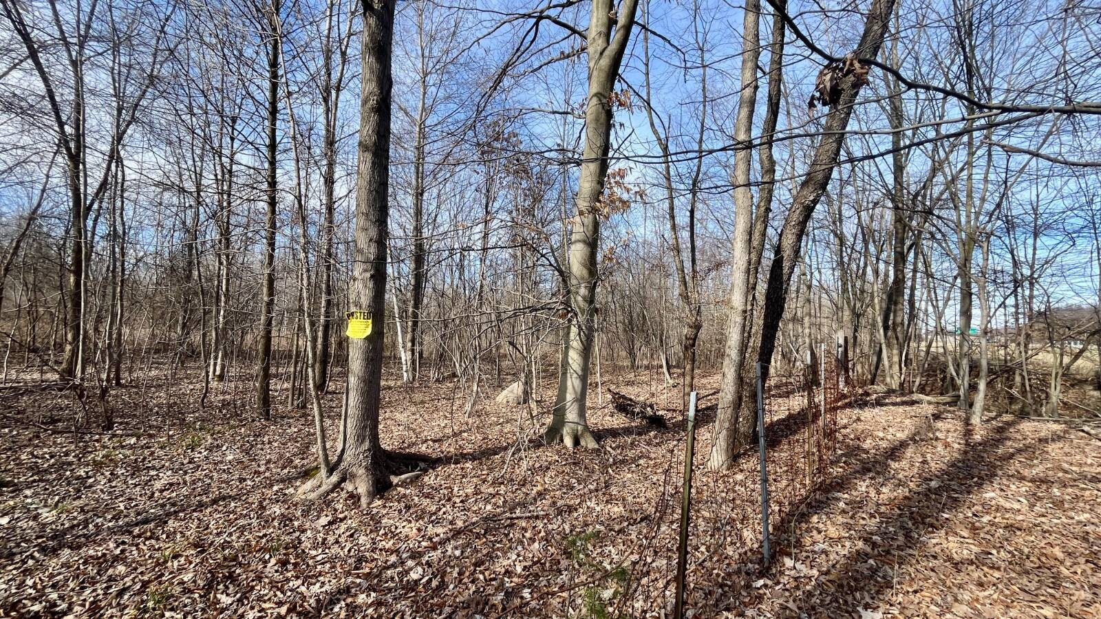 Land for Sale in Trumbull County, OH (44 of 79)