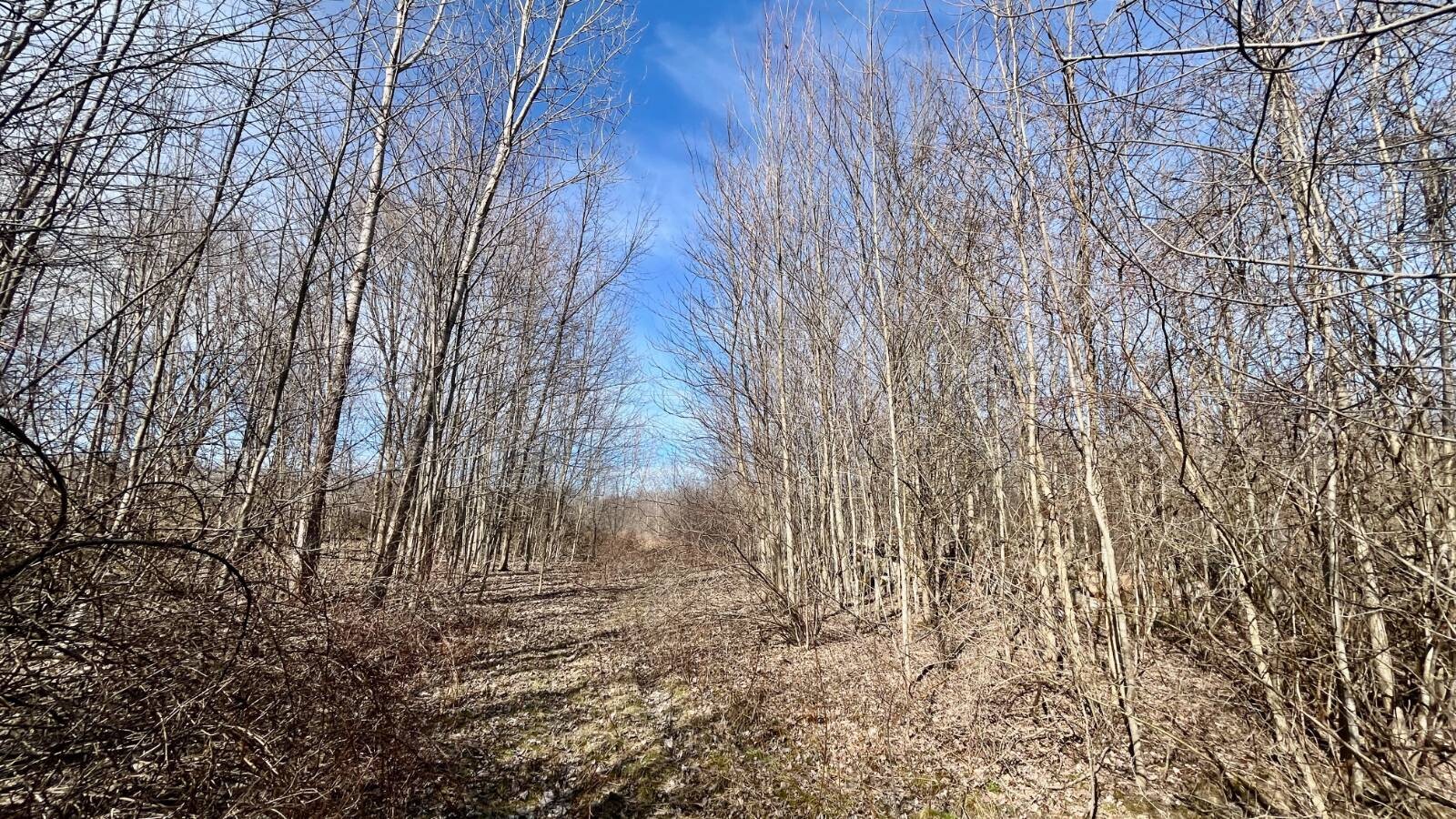 Land for Sale in Trumbull County, OH (47 of 79)