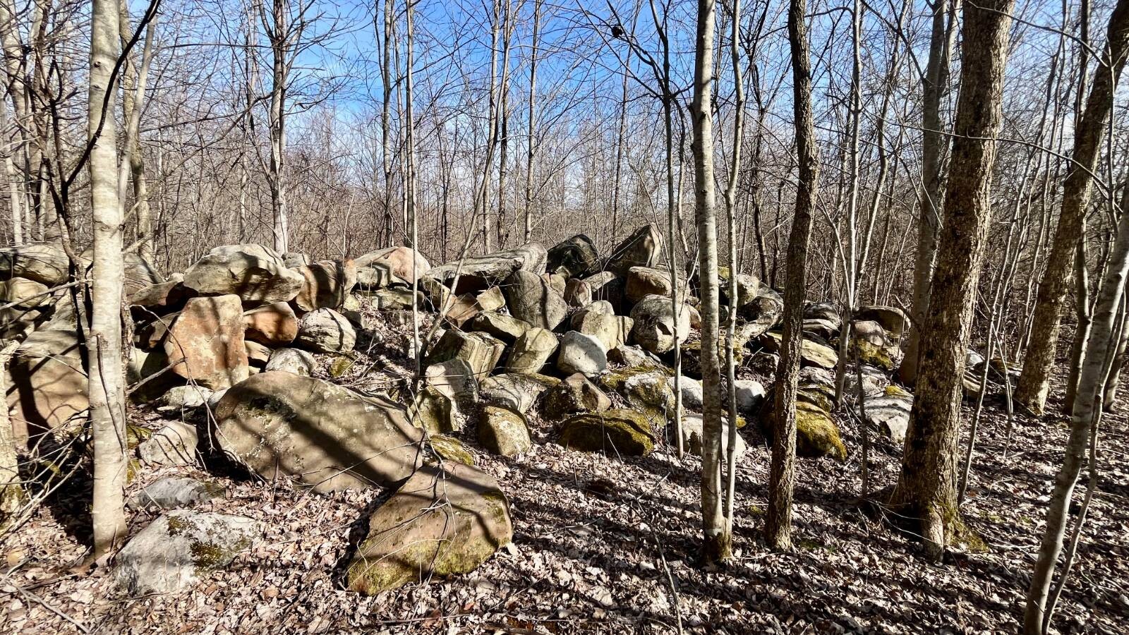 Land for Sale in Trumbull County, OH (48 of 79)