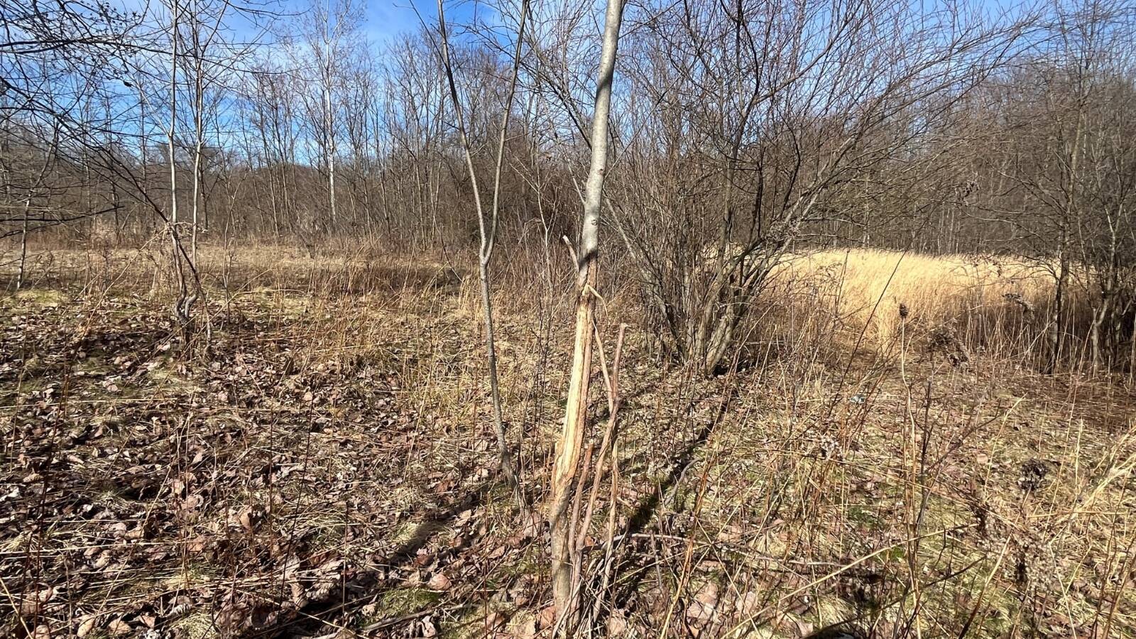 Land for Sale in Trumbull County, OH (49 of 79)
