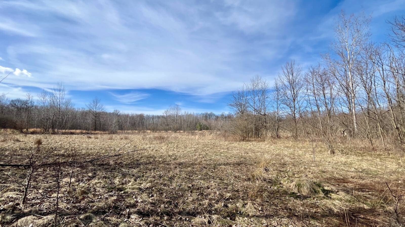 Land for Sale in Trumbull County, OH (50 of 79)