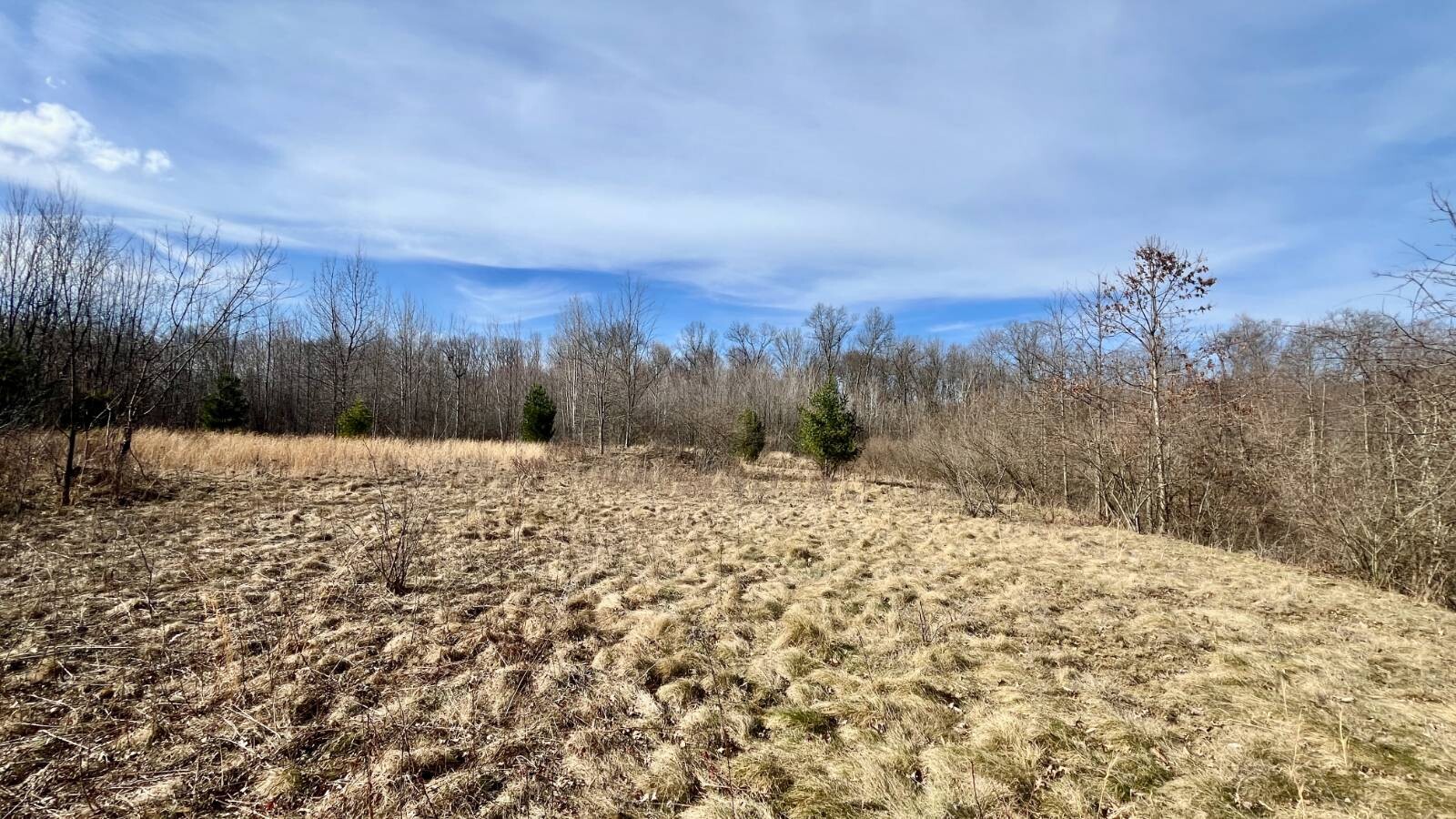 Land for Sale in Trumbull County, OH (52 of 79)