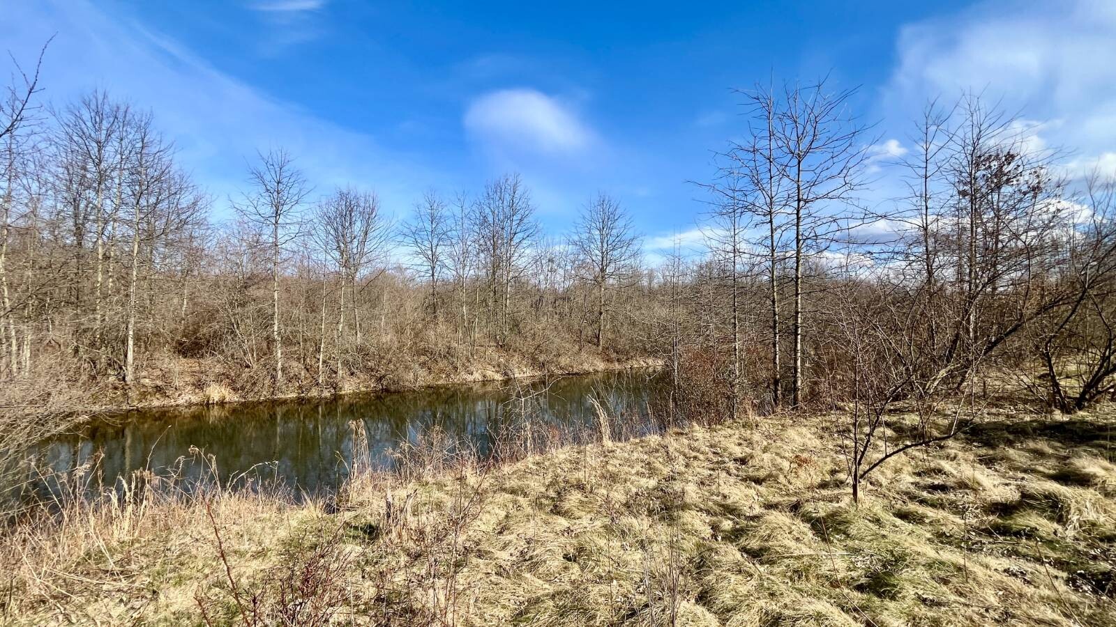 Land for Sale in Trumbull County, OH (53 of 79)