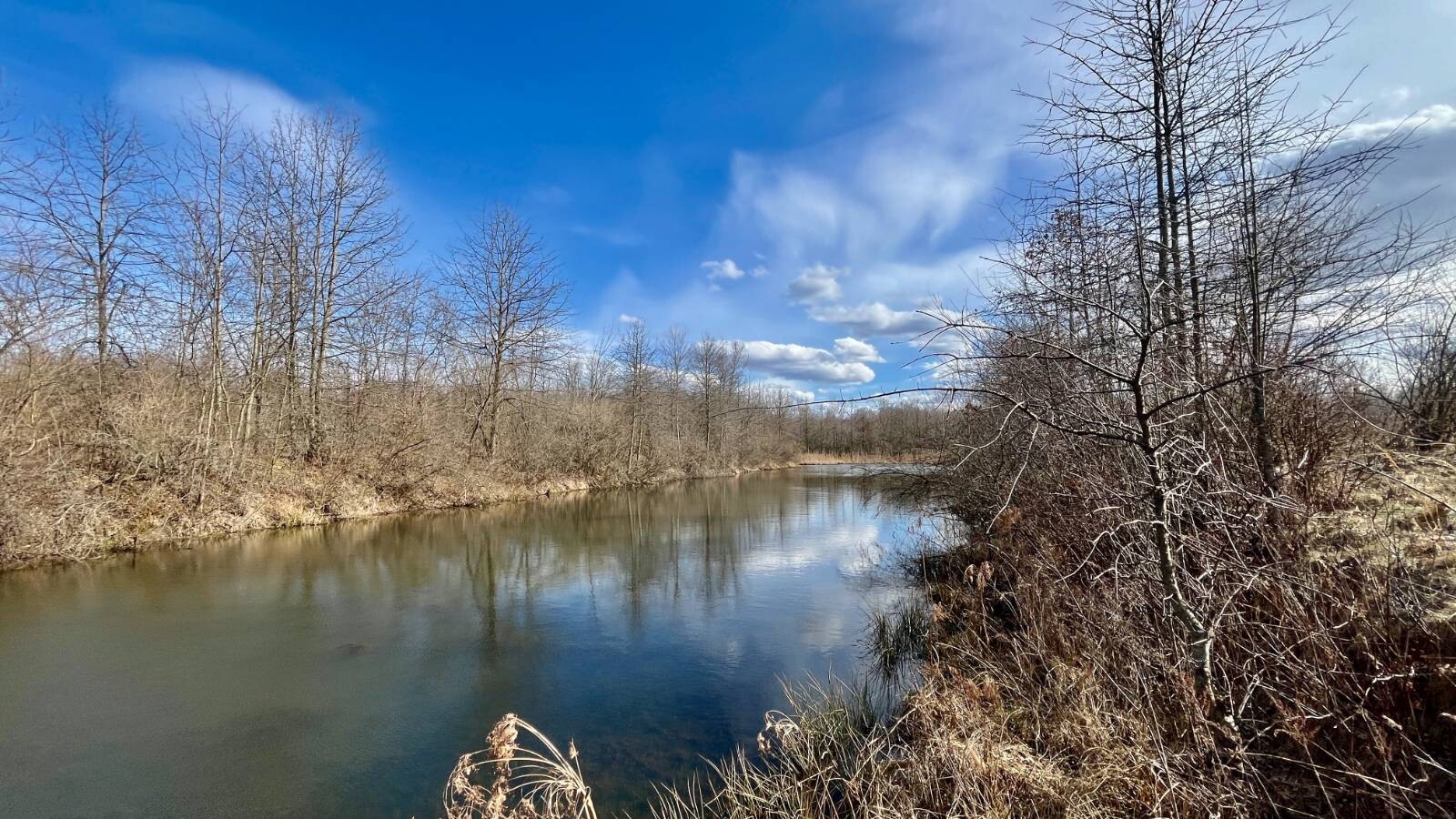 Land for Sale in Trumbull County, OH (54 of 79)