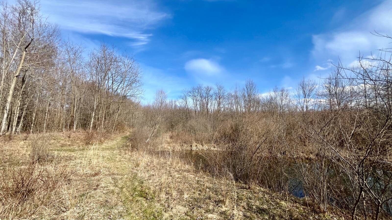 Land for Sale in Trumbull County, OH (56 of 79)