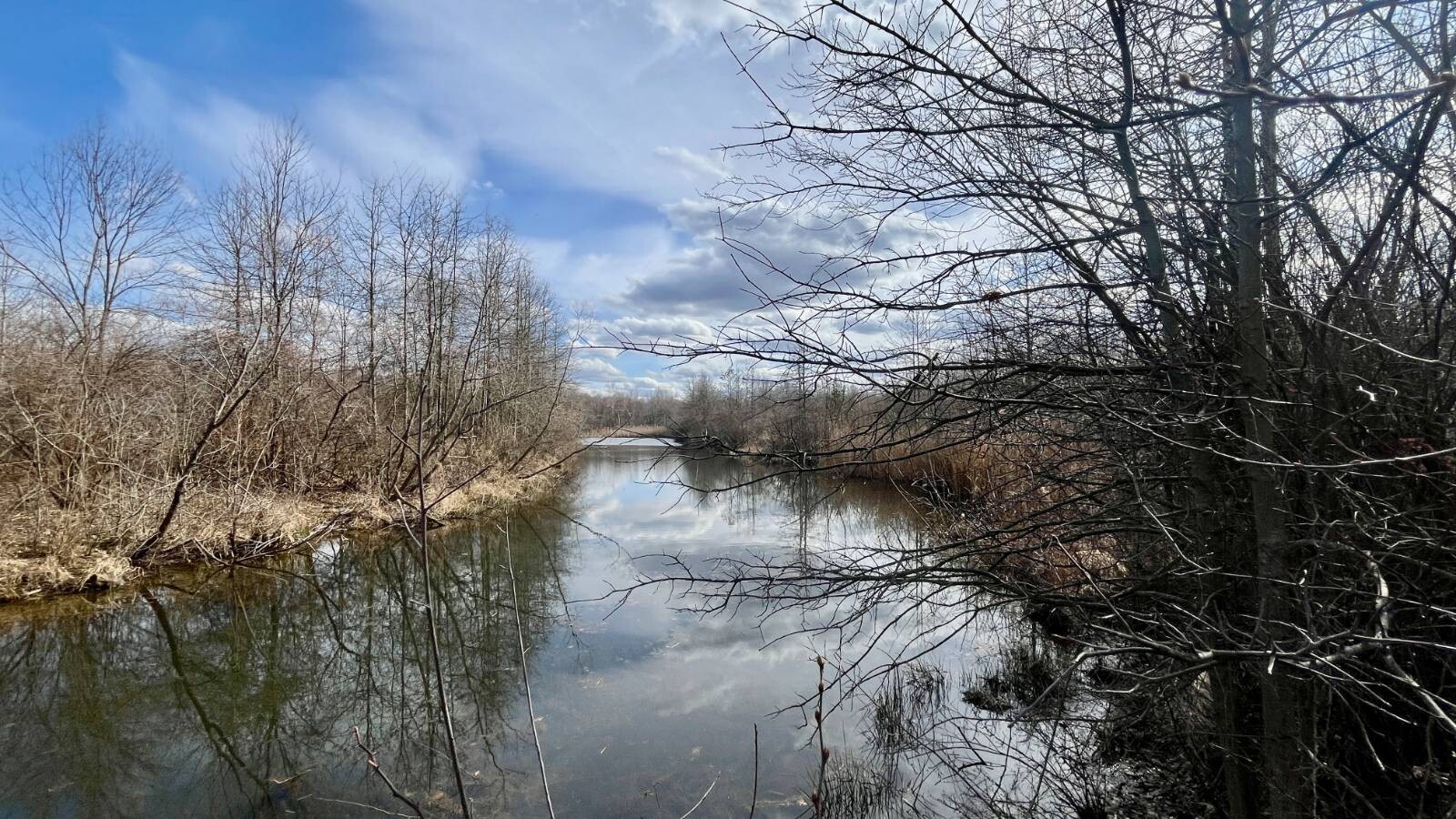 Land for Sale in Trumbull County, OH (57 of 79)