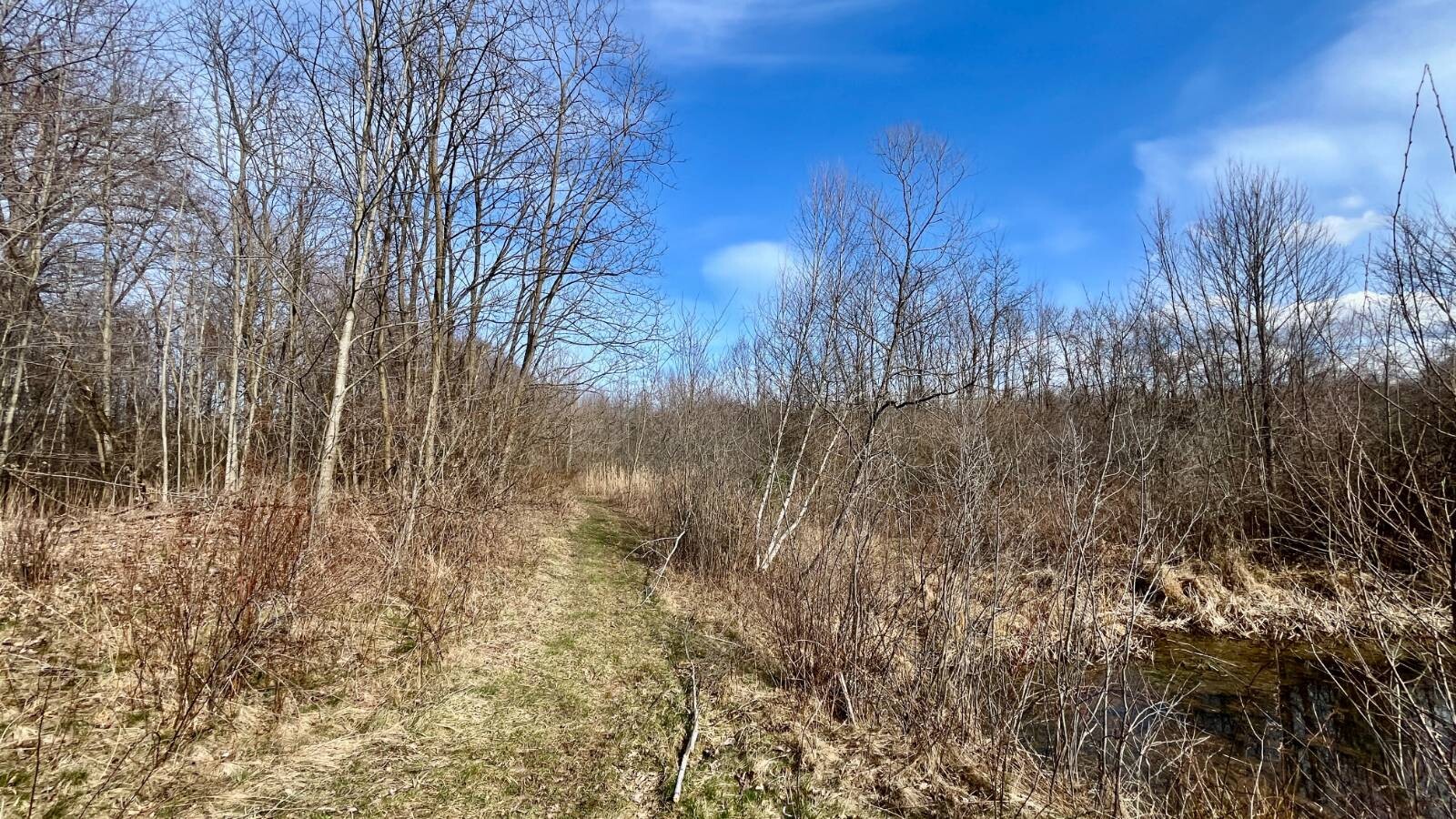 Land for Sale in Trumbull County, OH (58 of 79)