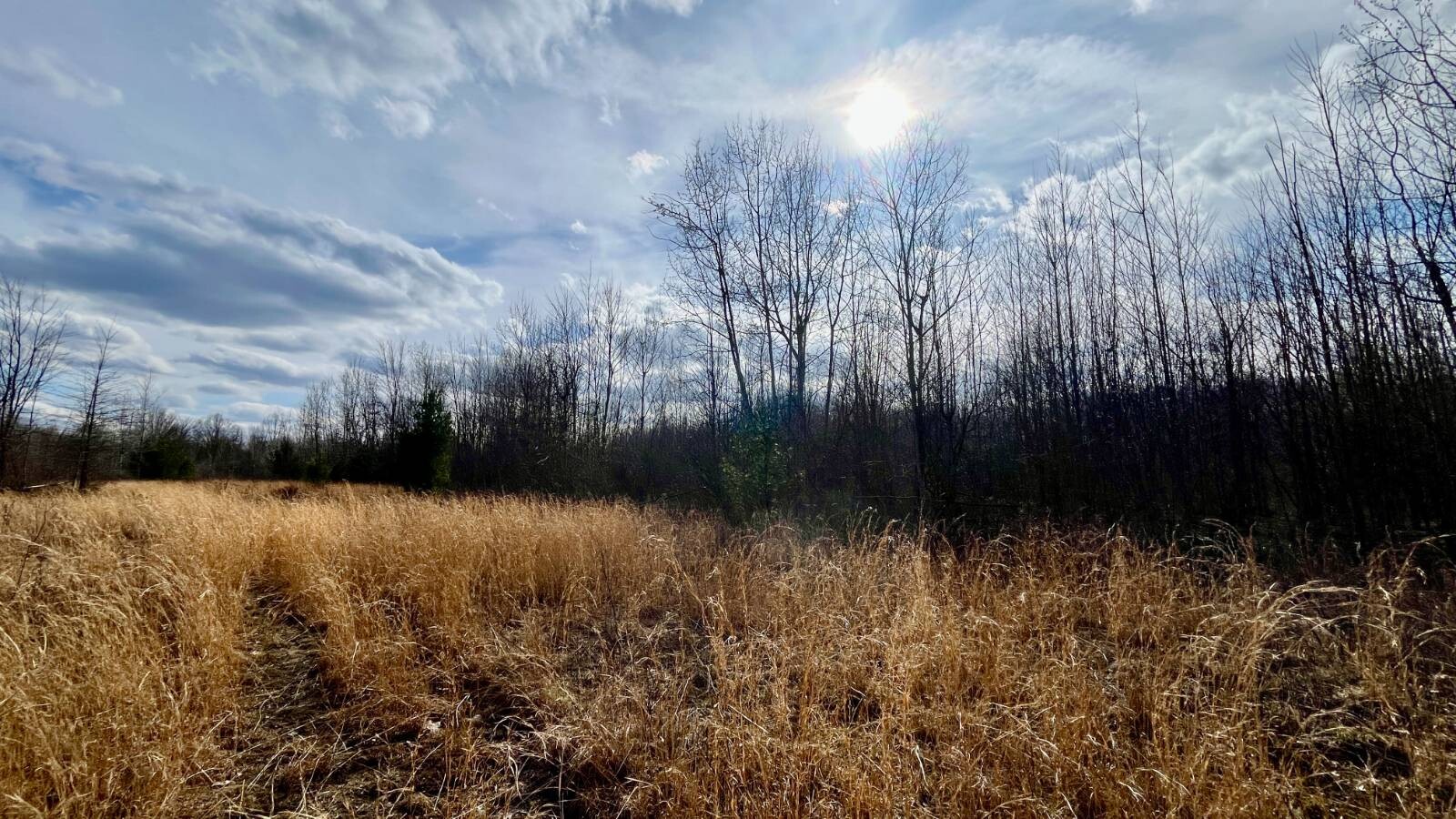 Land for Sale in Trumbull County, OH (59 of 79)