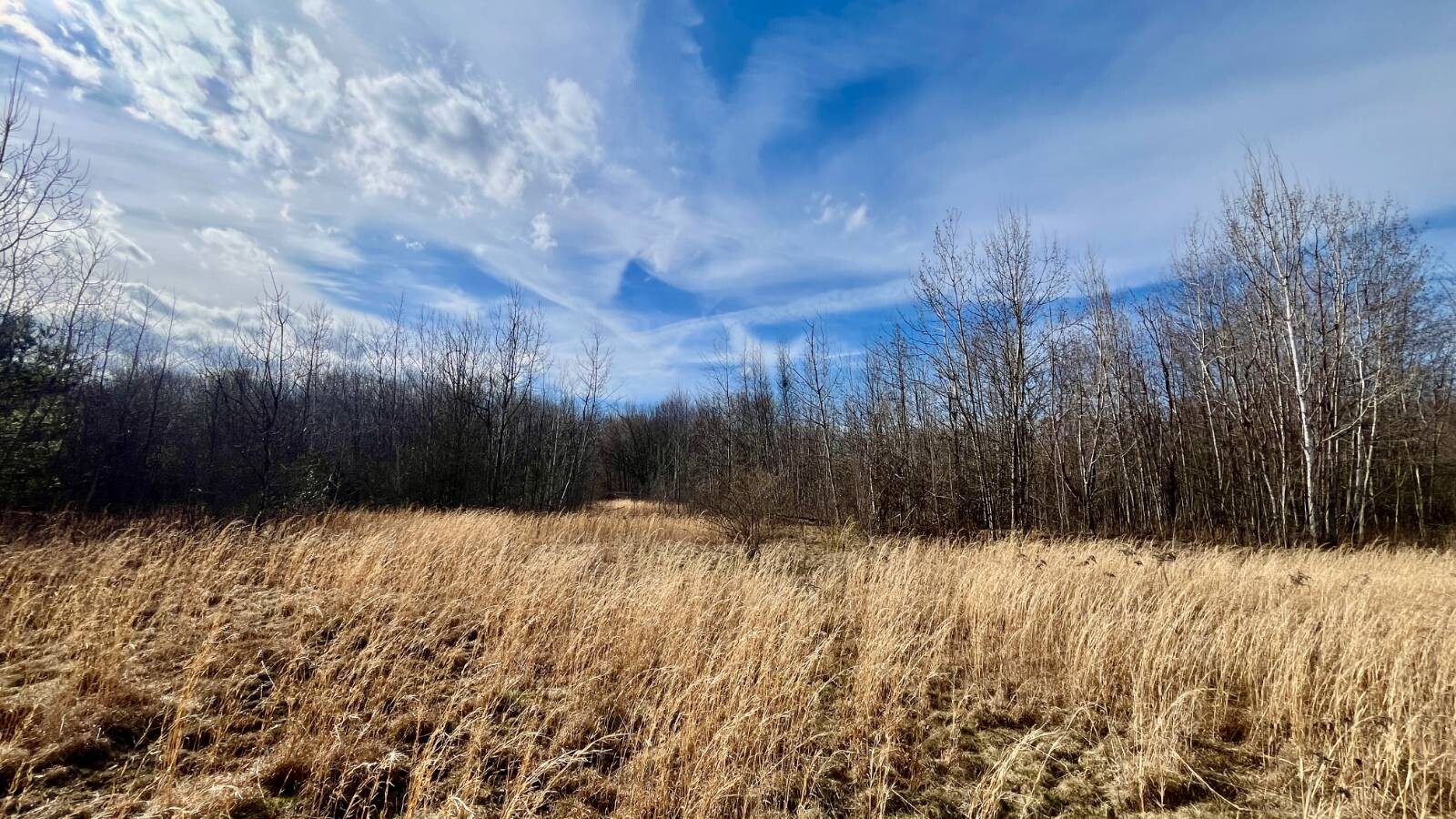 Land for Sale in Trumbull County, OH (60 of 79)