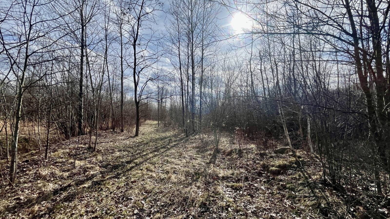 Land for Sale in Trumbull County, OH (61 of 79)