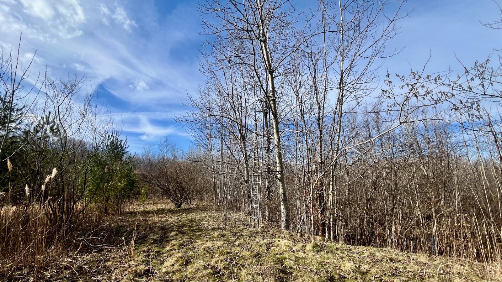 Land for Sale in Trumbull County, OH (62 of 79)