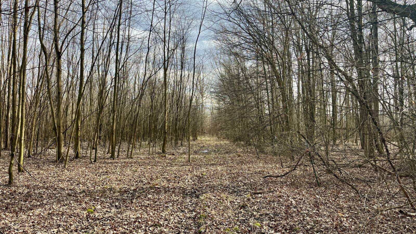 Land for Sale in Trumbull County, OH (64 of 79)