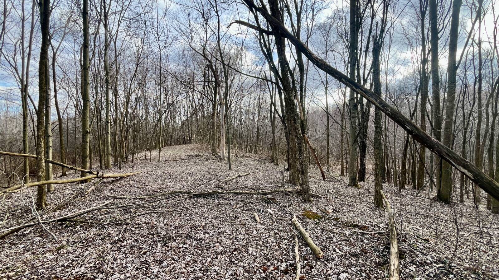 Land for Sale in Trumbull County, OH (65 of 79)