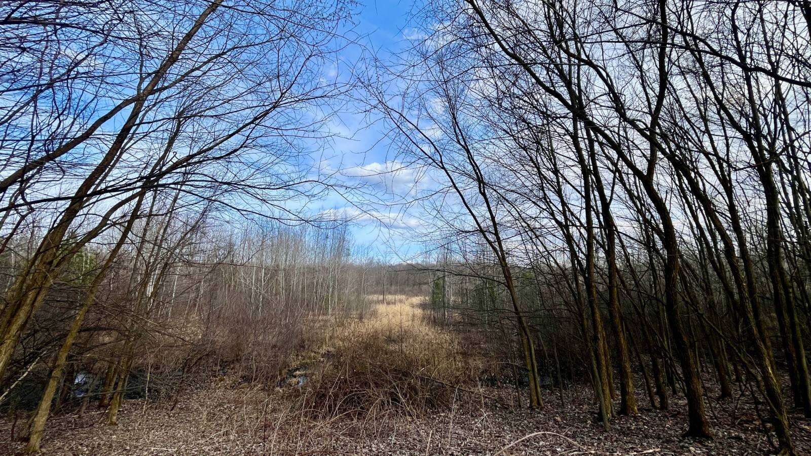 Land for Sale in Trumbull County, OH (66 of 79)