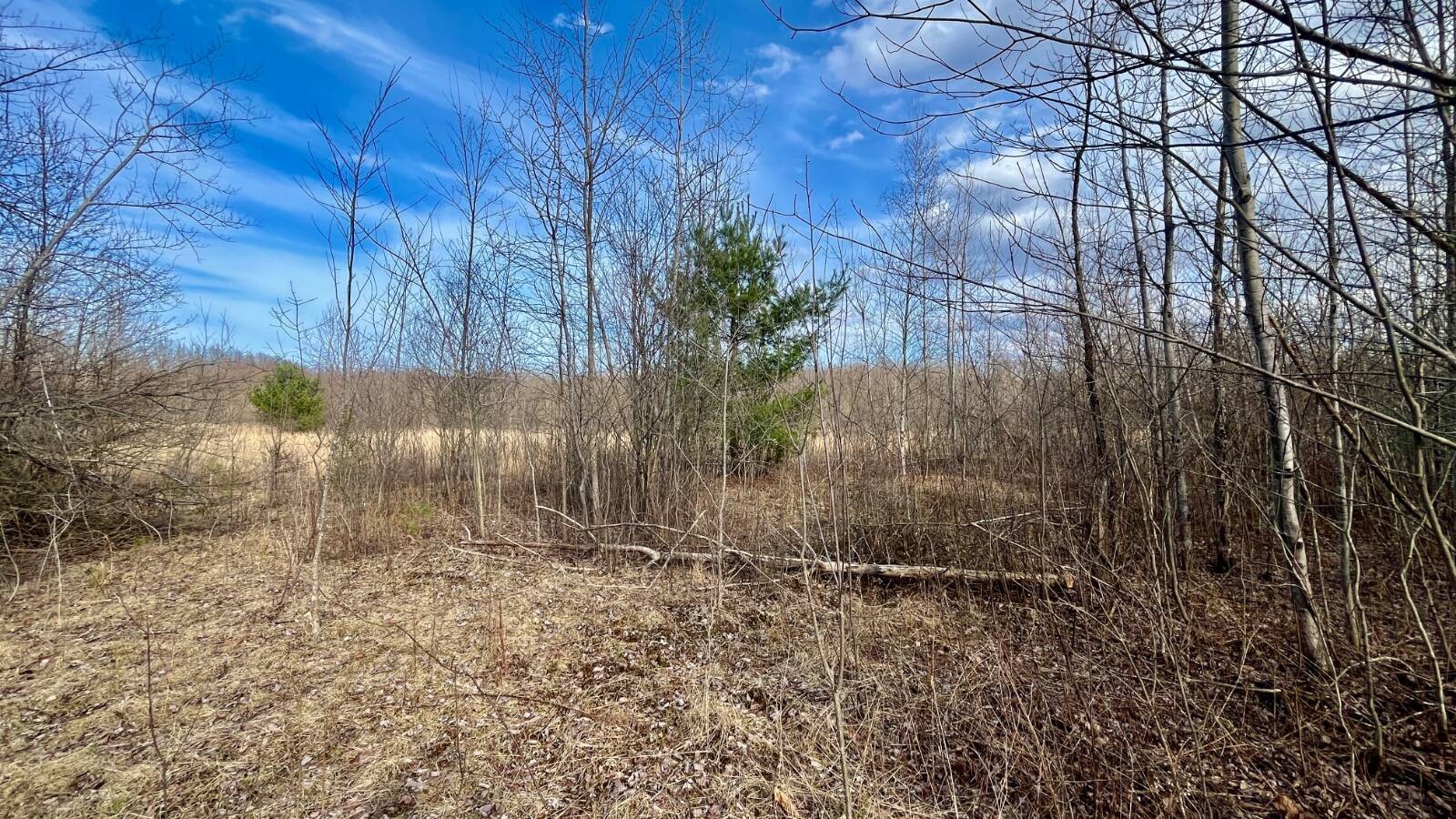 Land for Sale in Trumbull County, OH (67 of 79)