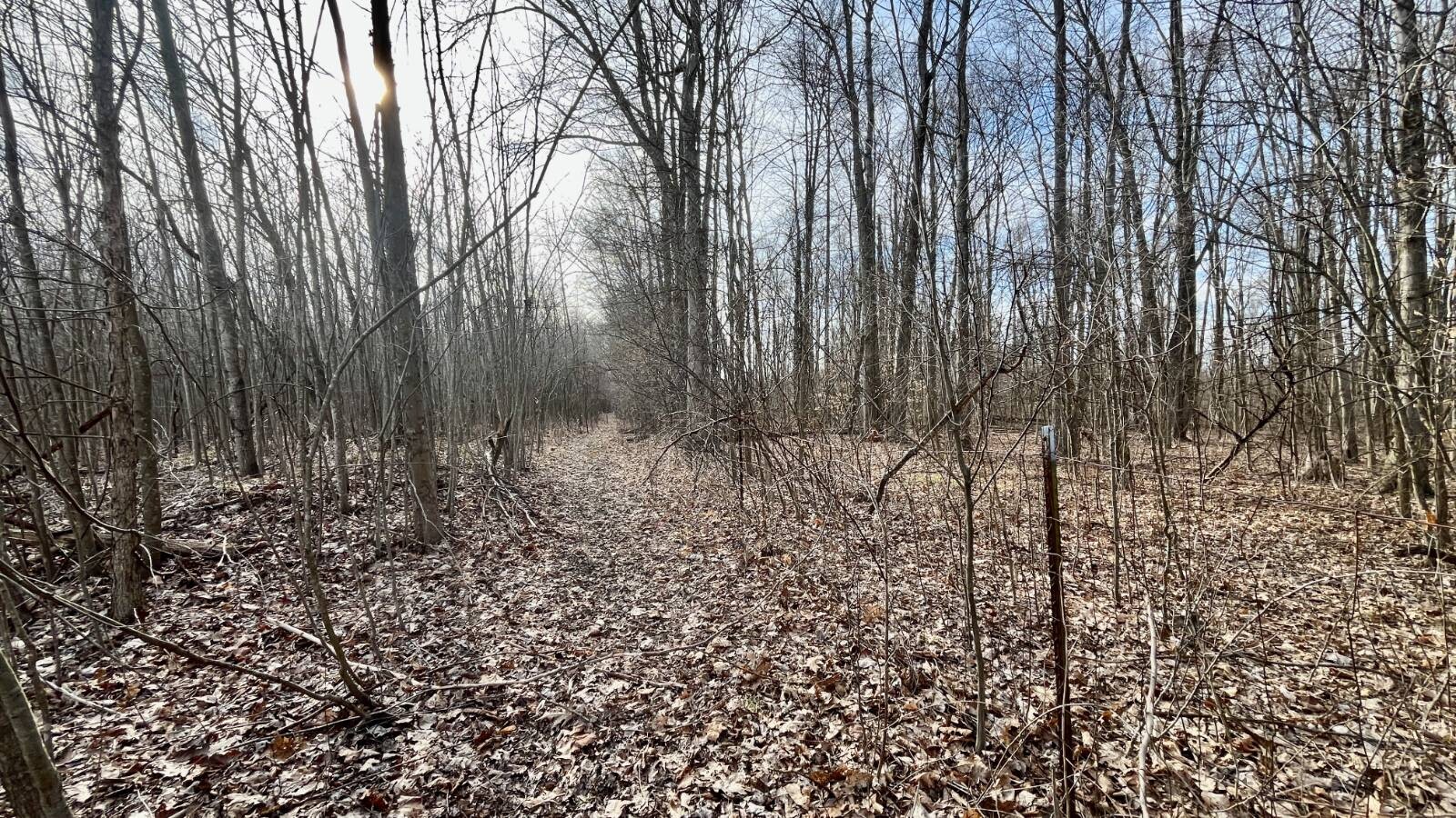Land for Sale in Trumbull County, OH (68 of 79)