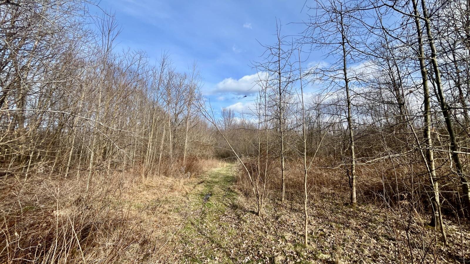 Land for Sale in Trumbull County, OH (69 of 79)