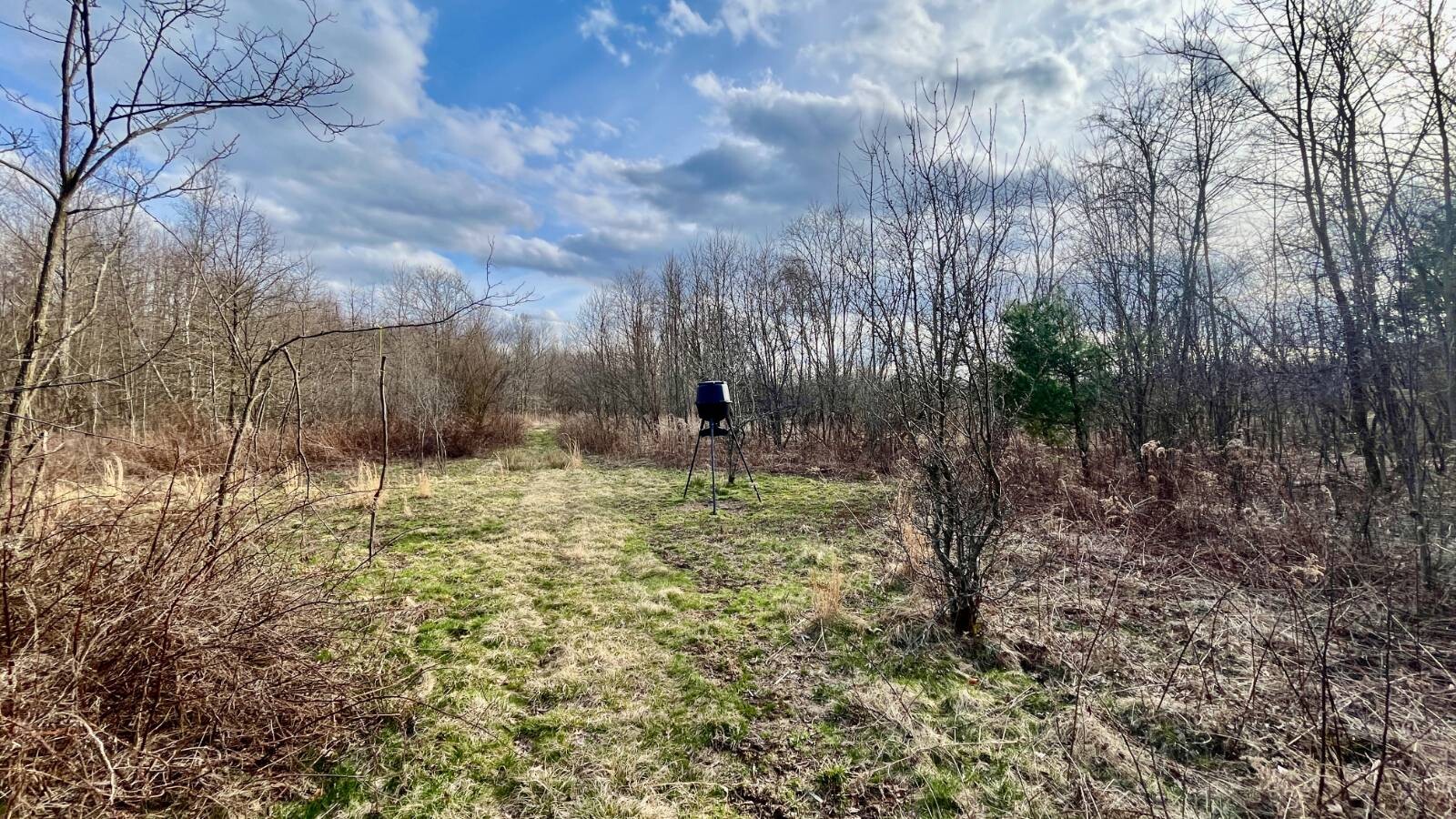 Land for Sale in Trumbull County, OH (70 of 79)