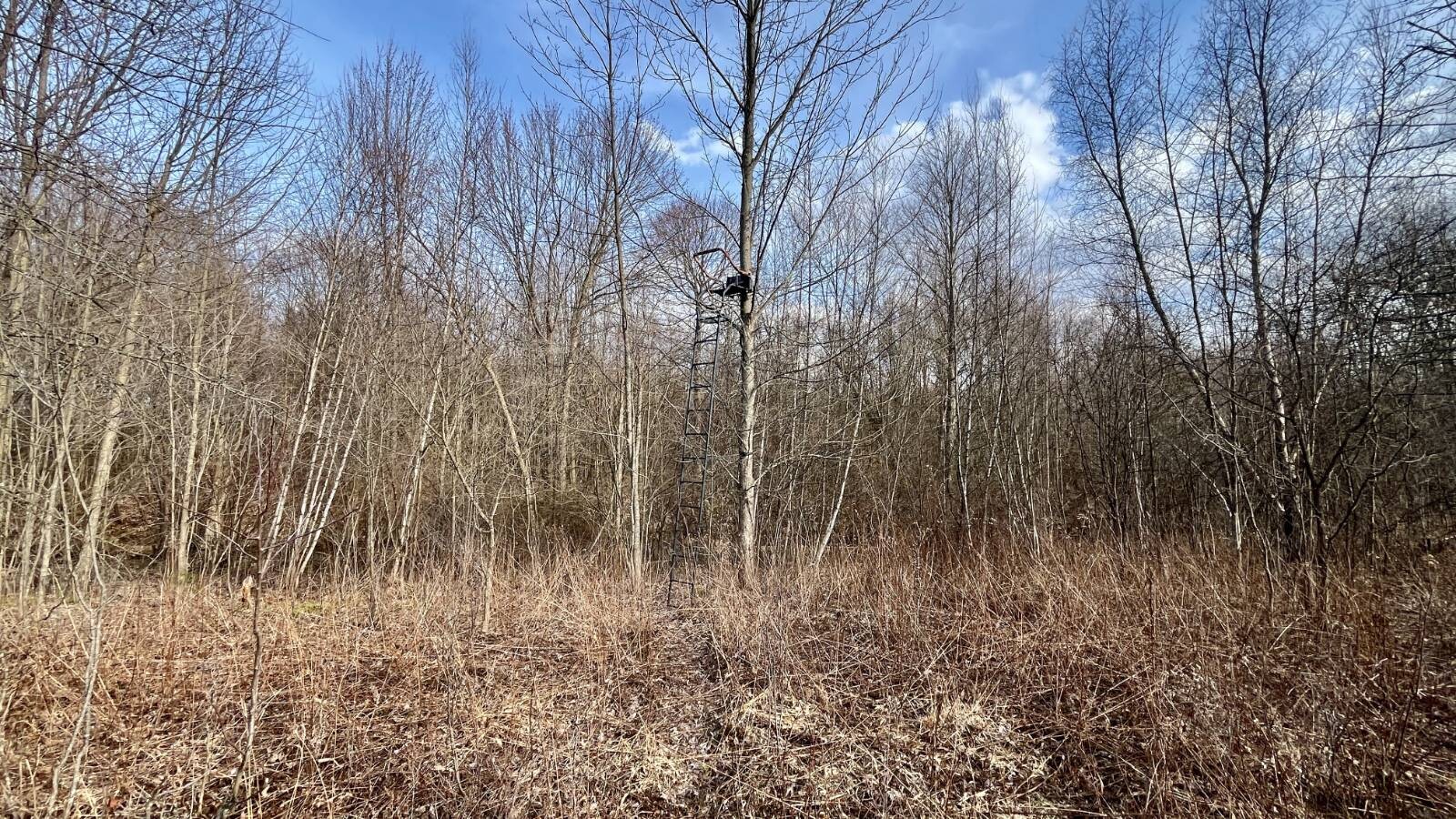 Land for Sale in Trumbull County, OH (71 of 79)