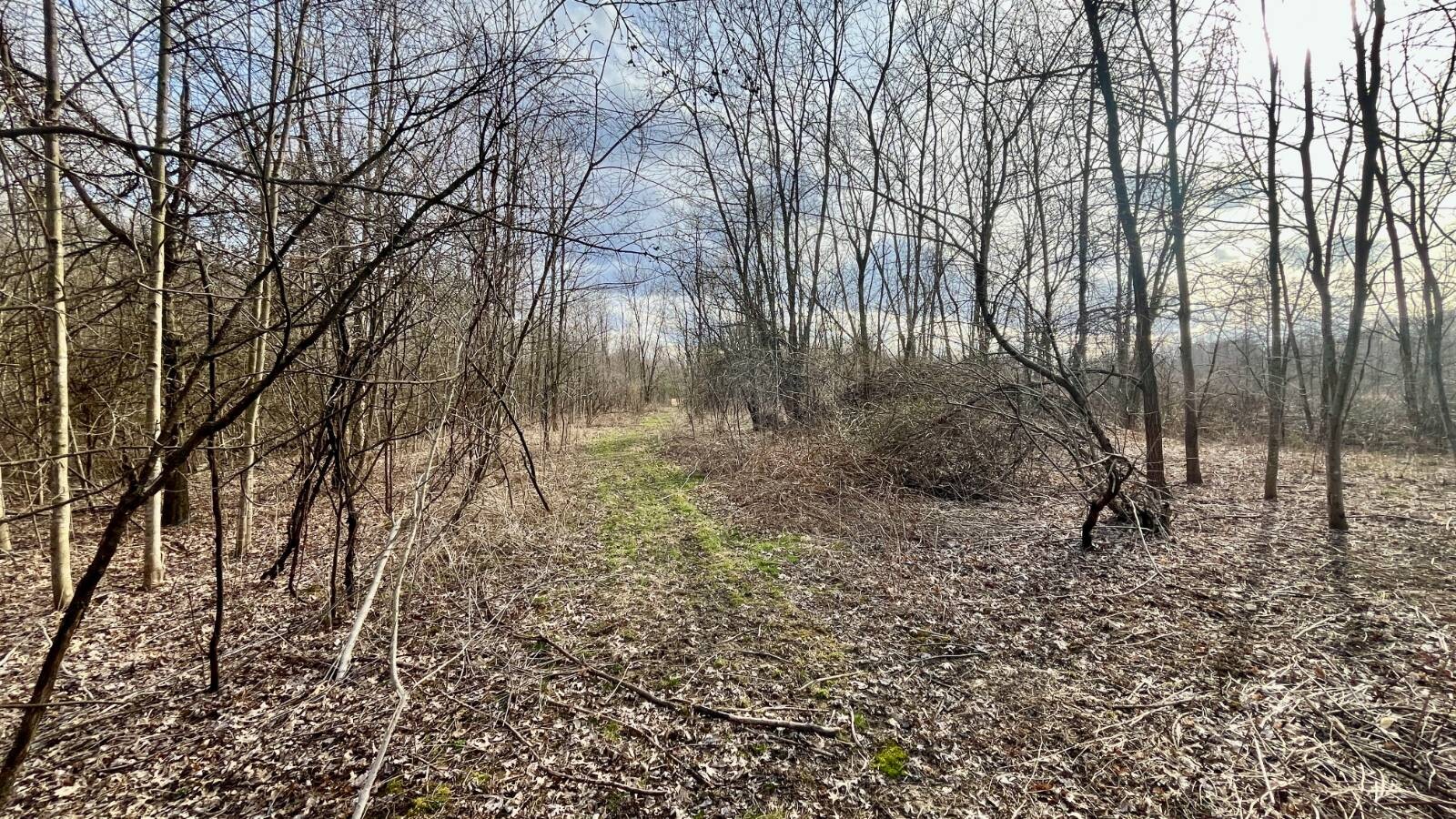 Land for Sale in Trumbull County, OH (72 of 79)