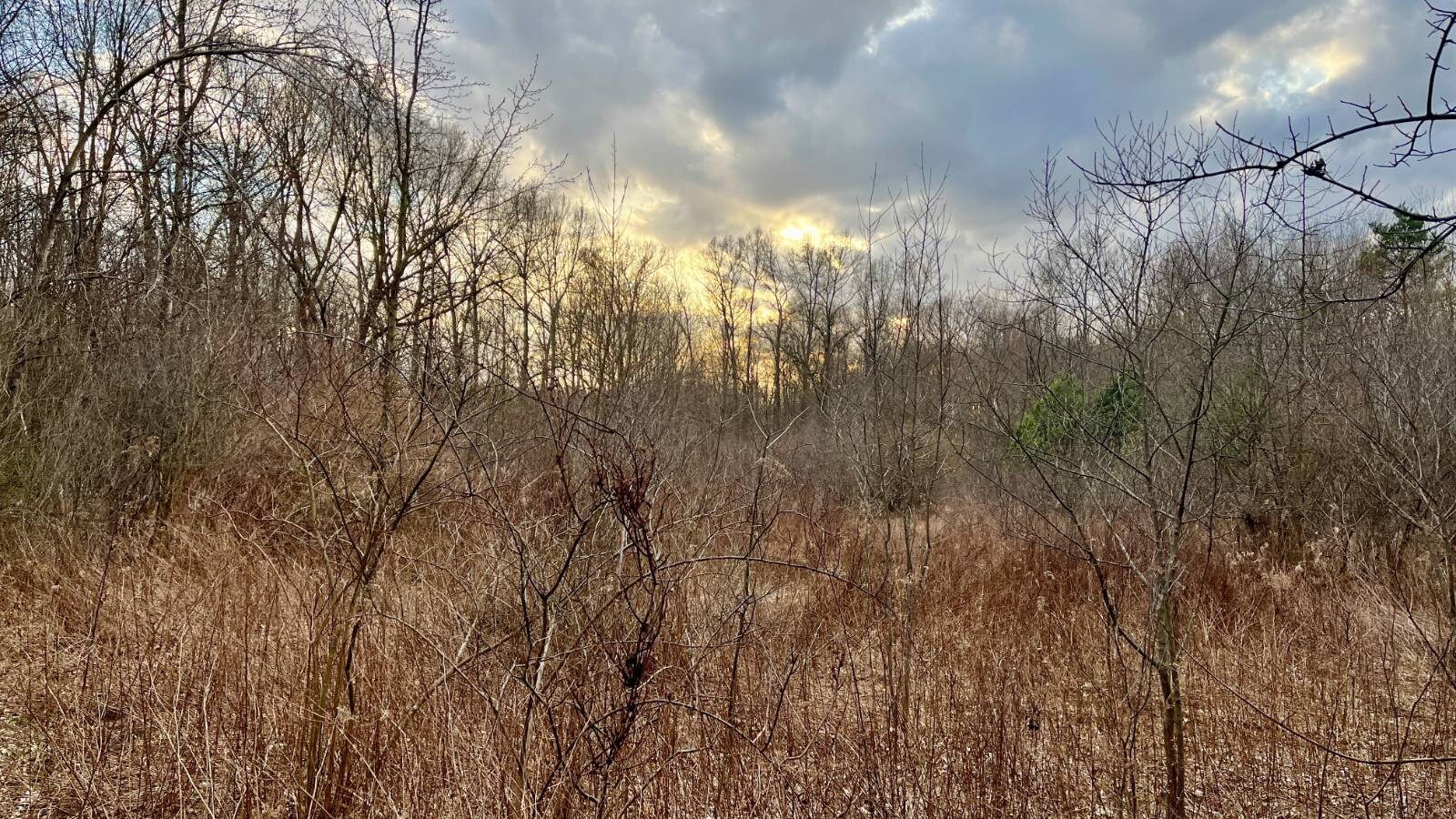 Land for Sale in Trumbull County, OH (3 of 54)