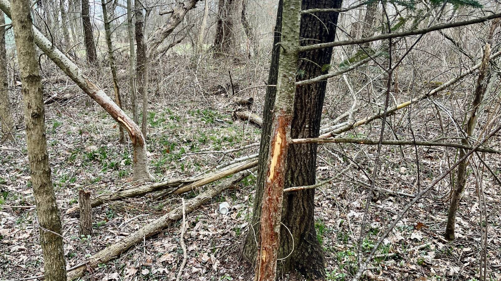 Land for Sale in Trumbull County, OH (7 of 54)