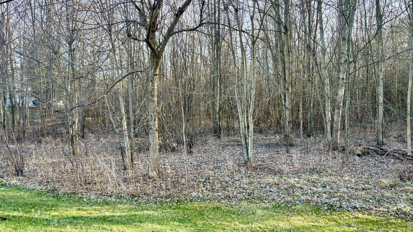 Land for Sale in Trumbull County, OH (15 of 54)