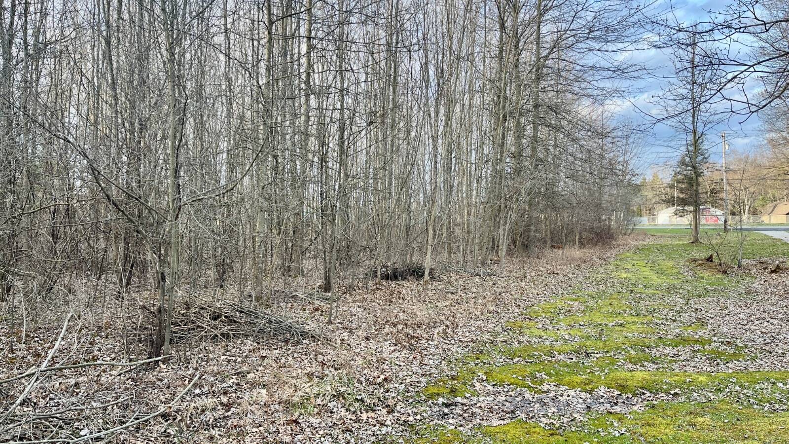 Land for Sale in Trumbull County, OH (16 of 54)