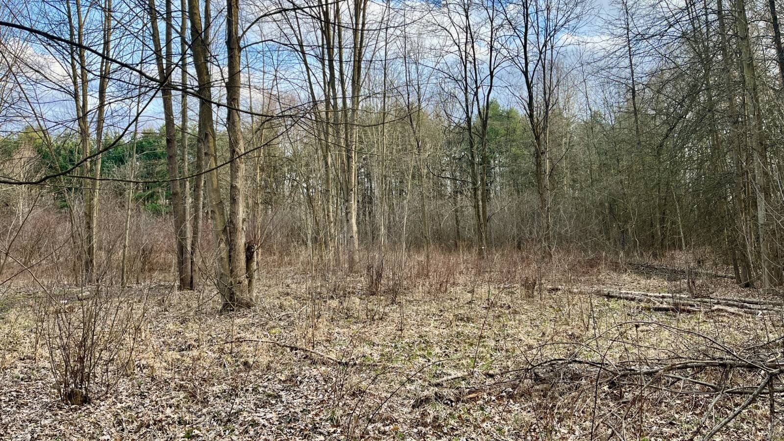Land for Sale in Trumbull County, OH (17 of 54)