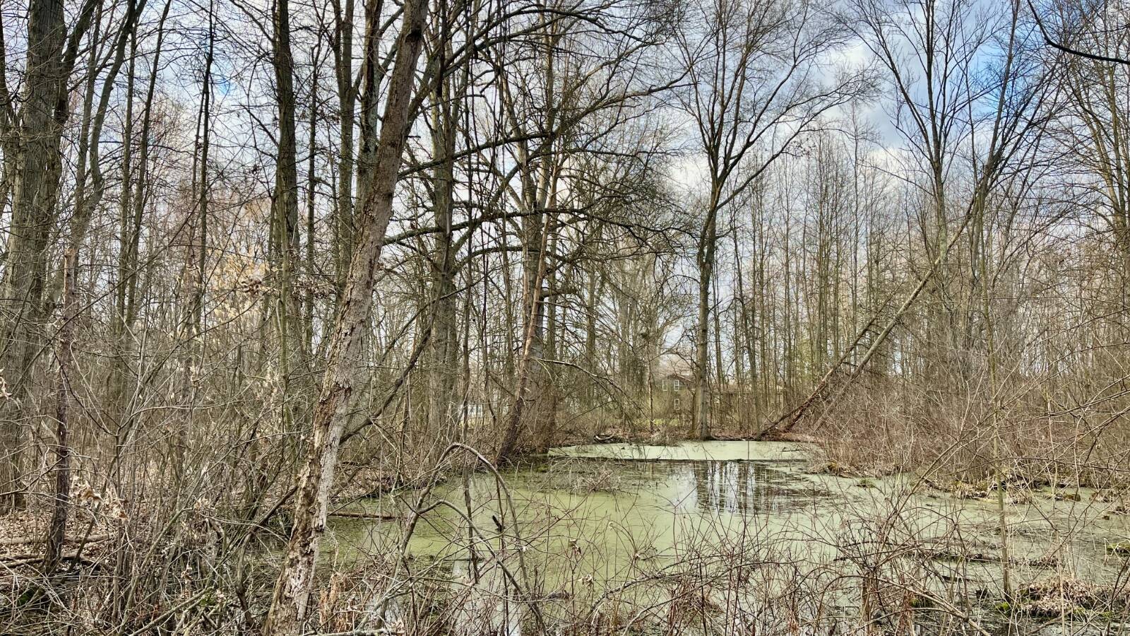 Land for Sale in Trumbull County, OH (19 of 54)