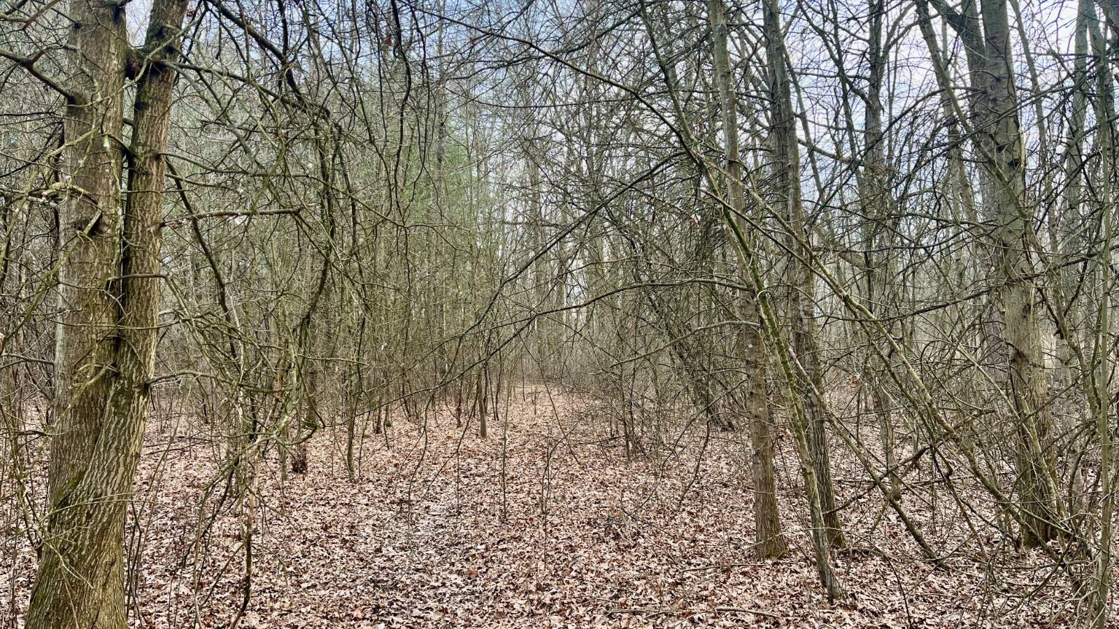 Land for Sale in Trumbull County, OH (20 of 54)