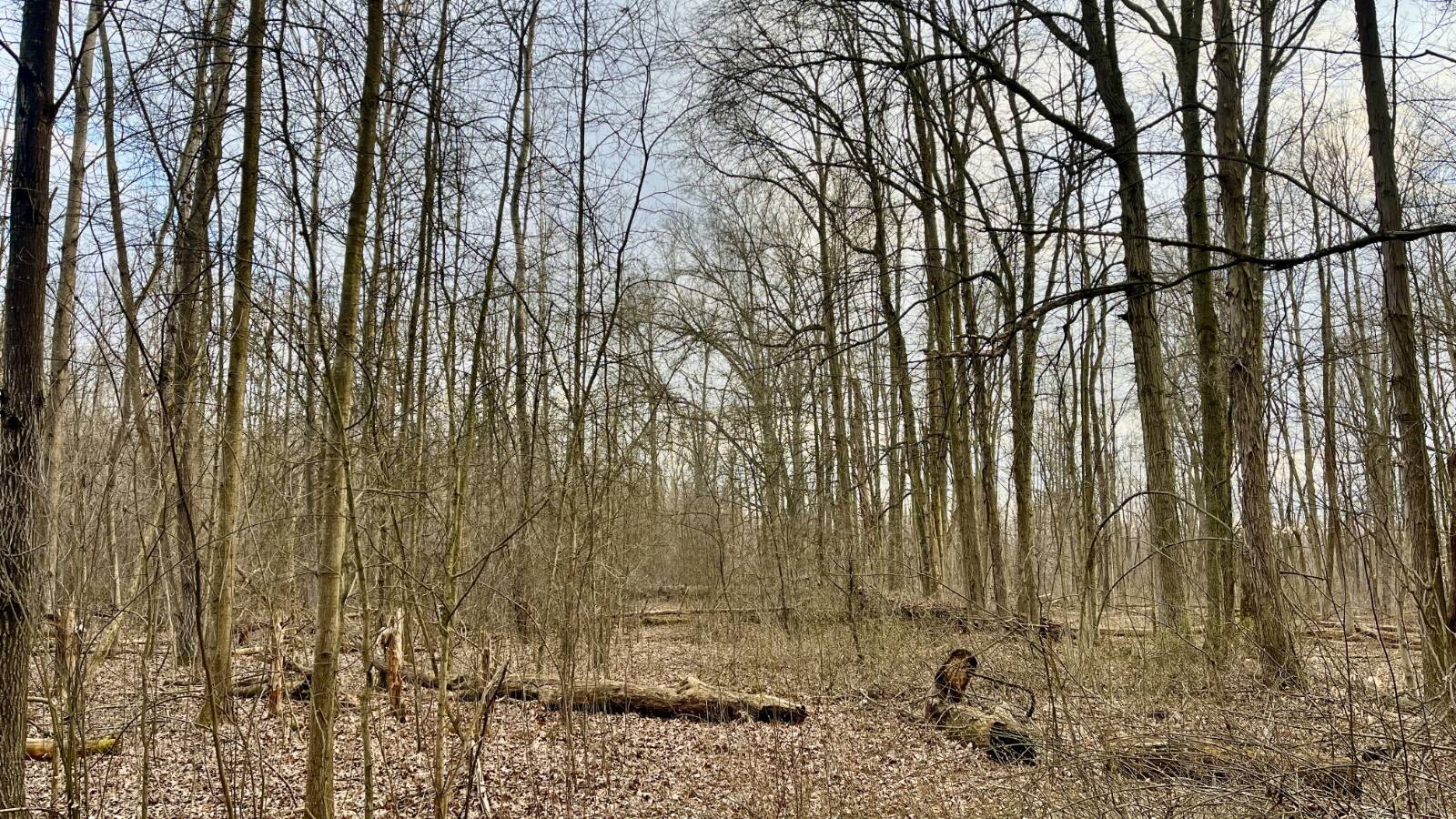 Land for Sale in Trumbull County, OH (22 of 54)