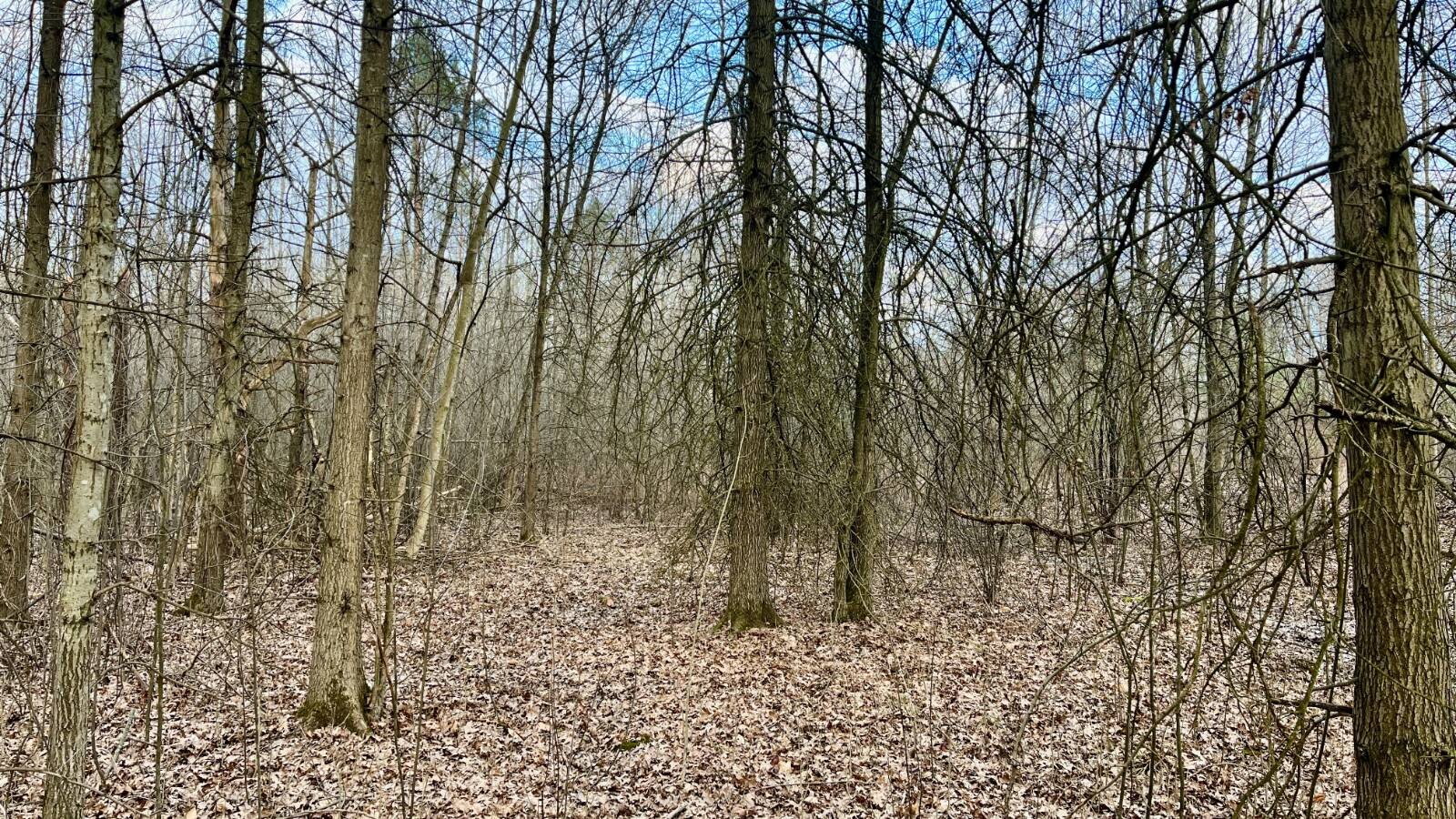 Land for Sale in Trumbull County, OH (23 of 54)