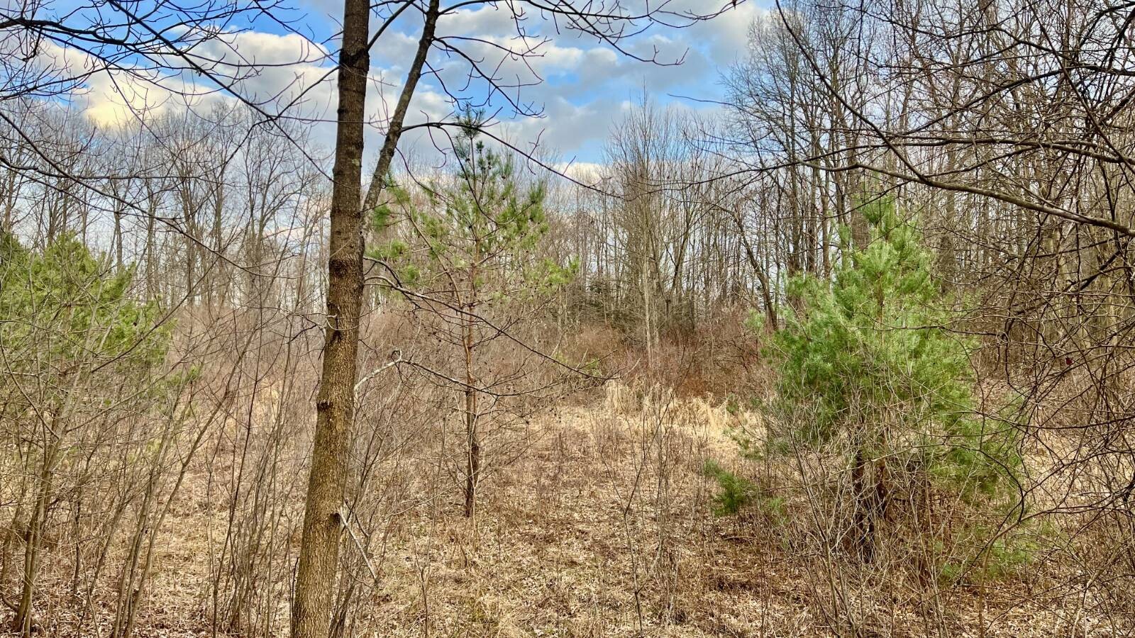 Land for Sale in Trumbull County, OH (24 of 54)